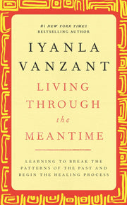 Living Through the Meantime: Learning to Break the Patterns of the Past and Begin the Healing Process used book depot