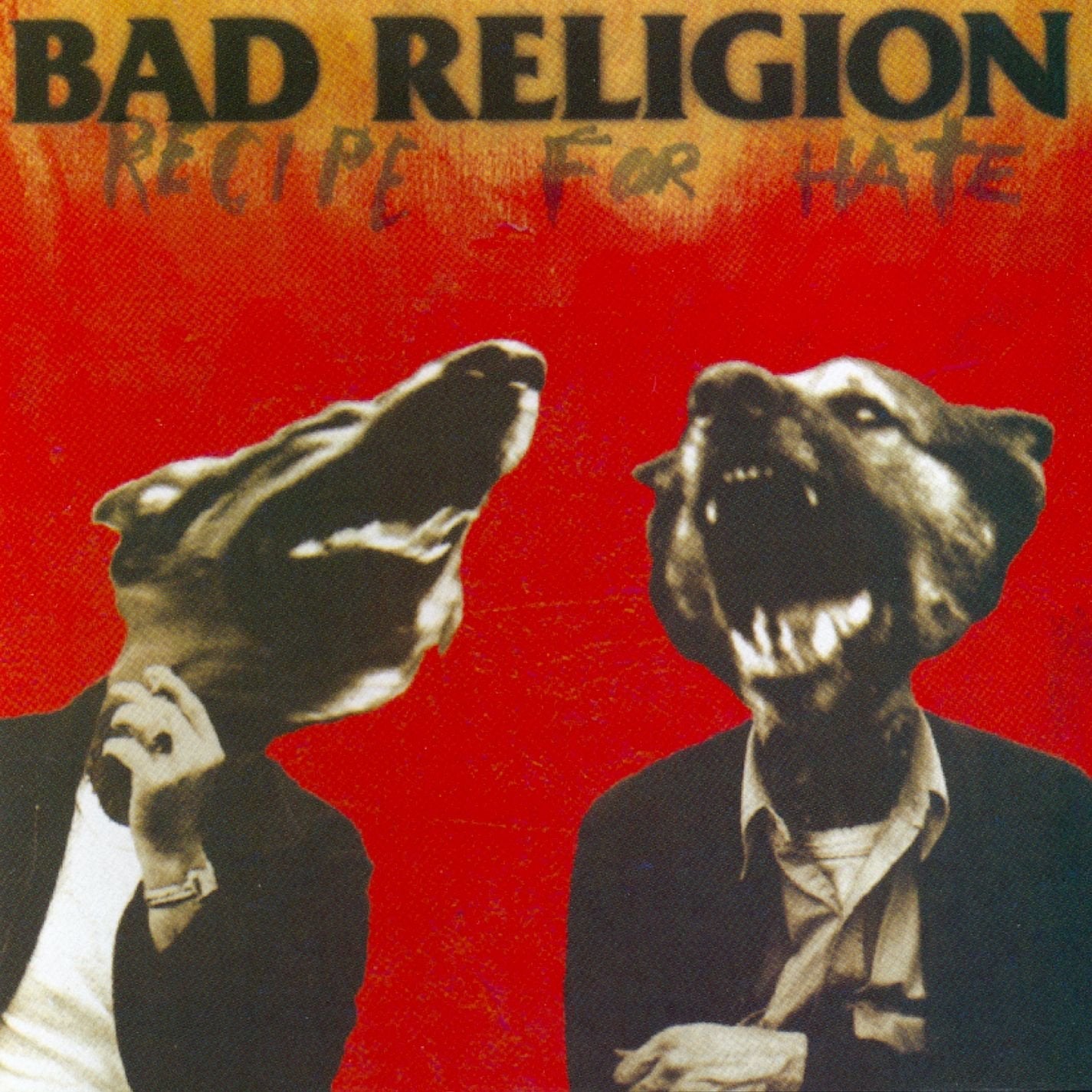 Recipe For Hate used book depot