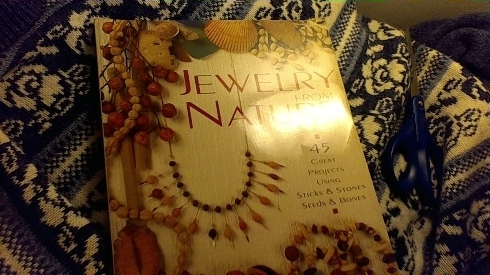 Jewelry From Nature: 45 Great Projects Using Sticks & Stones, Seeds & Bones used book depot