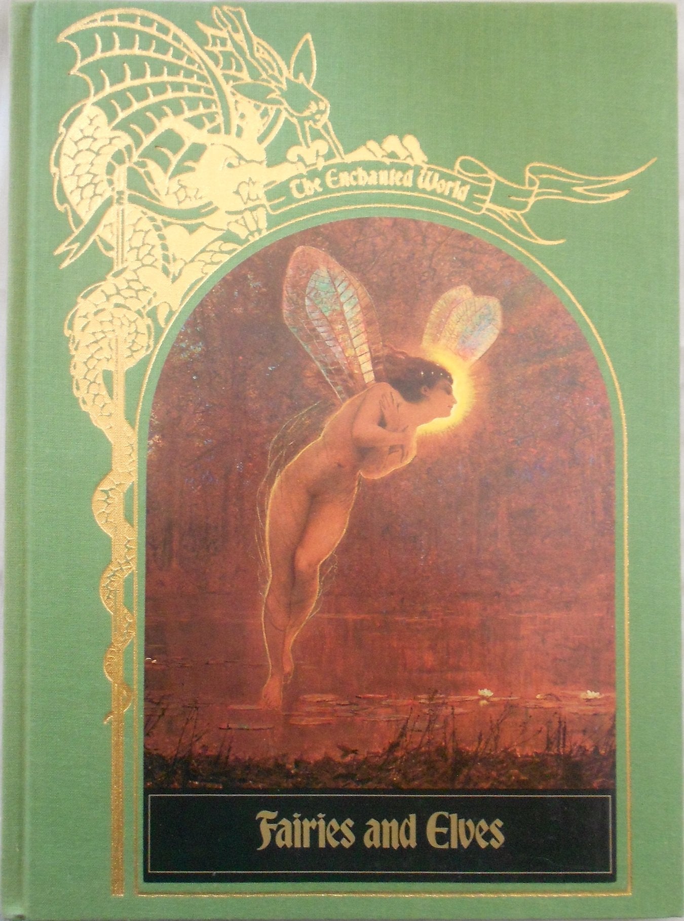 Fairies and Elves (The Enchanted World) used book depot