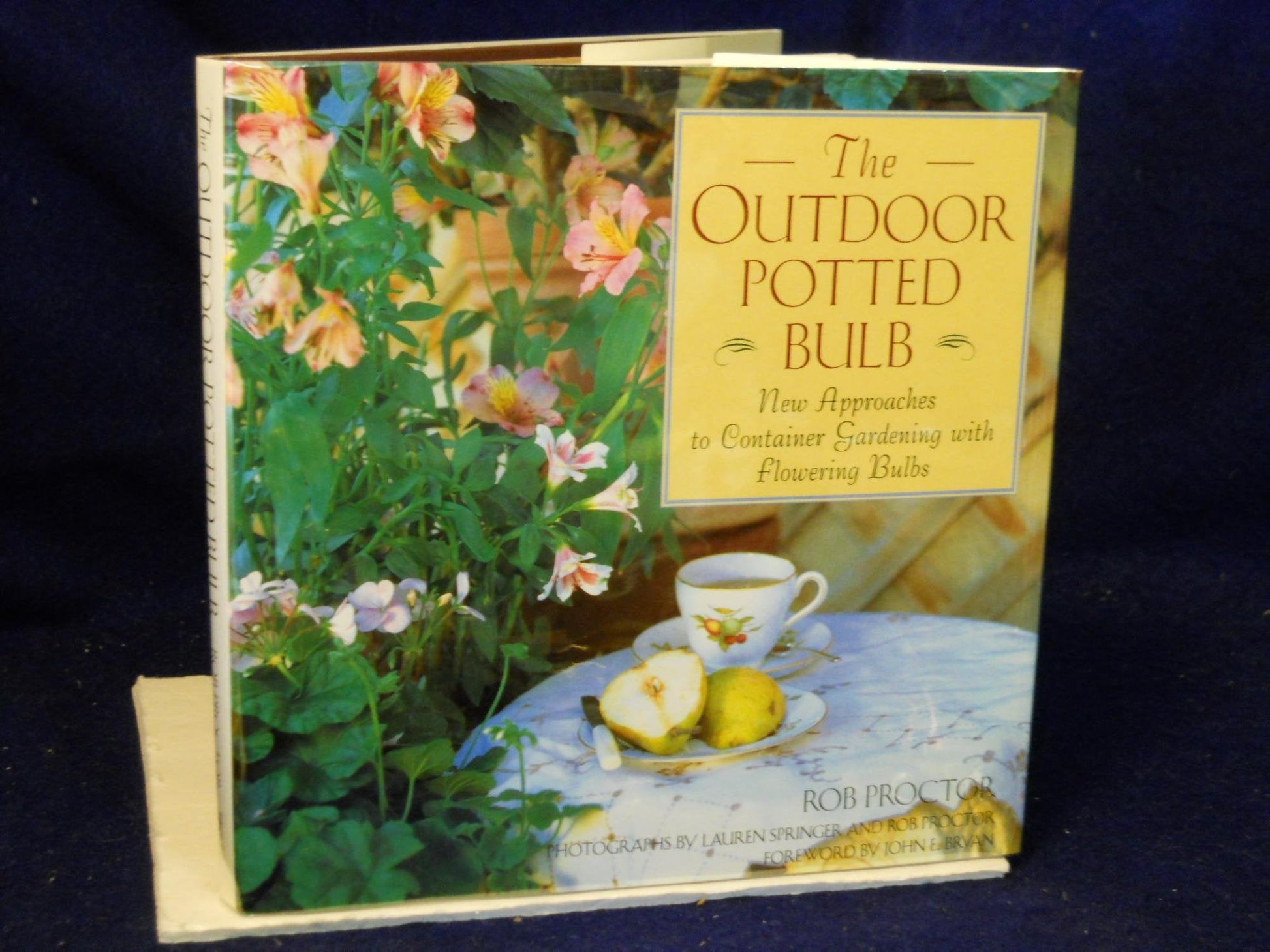 The Outdoor Potted Bulb: New Approaches to Container Gardening With Flowering Bulbs used book depot