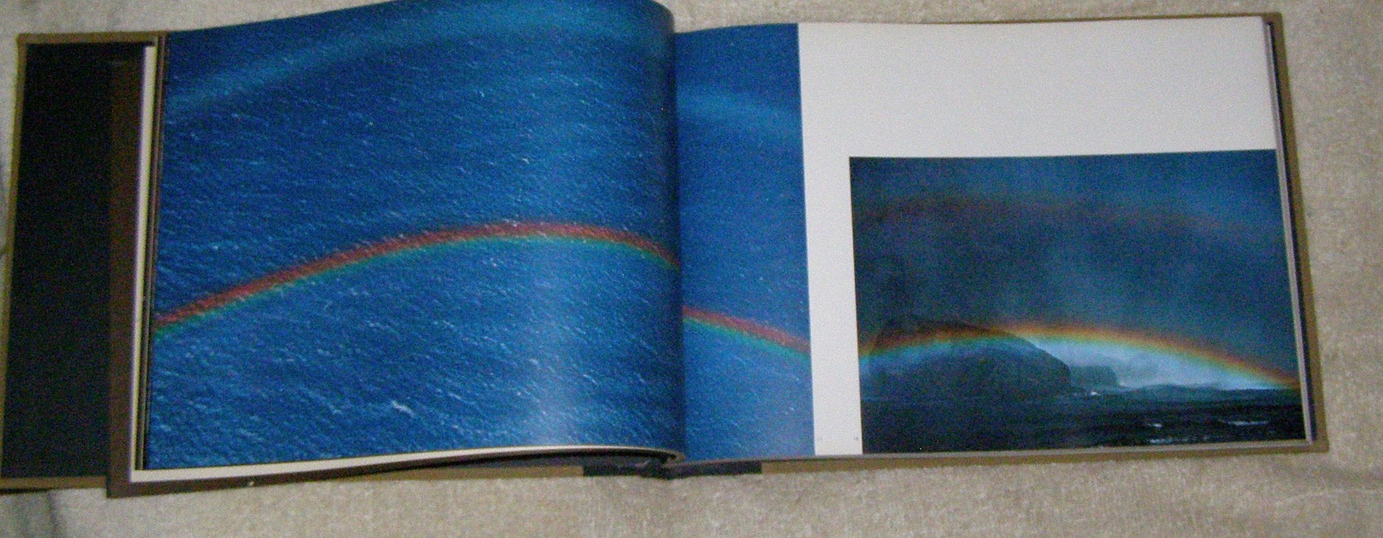 The Creation (A Studio Book) used book depot