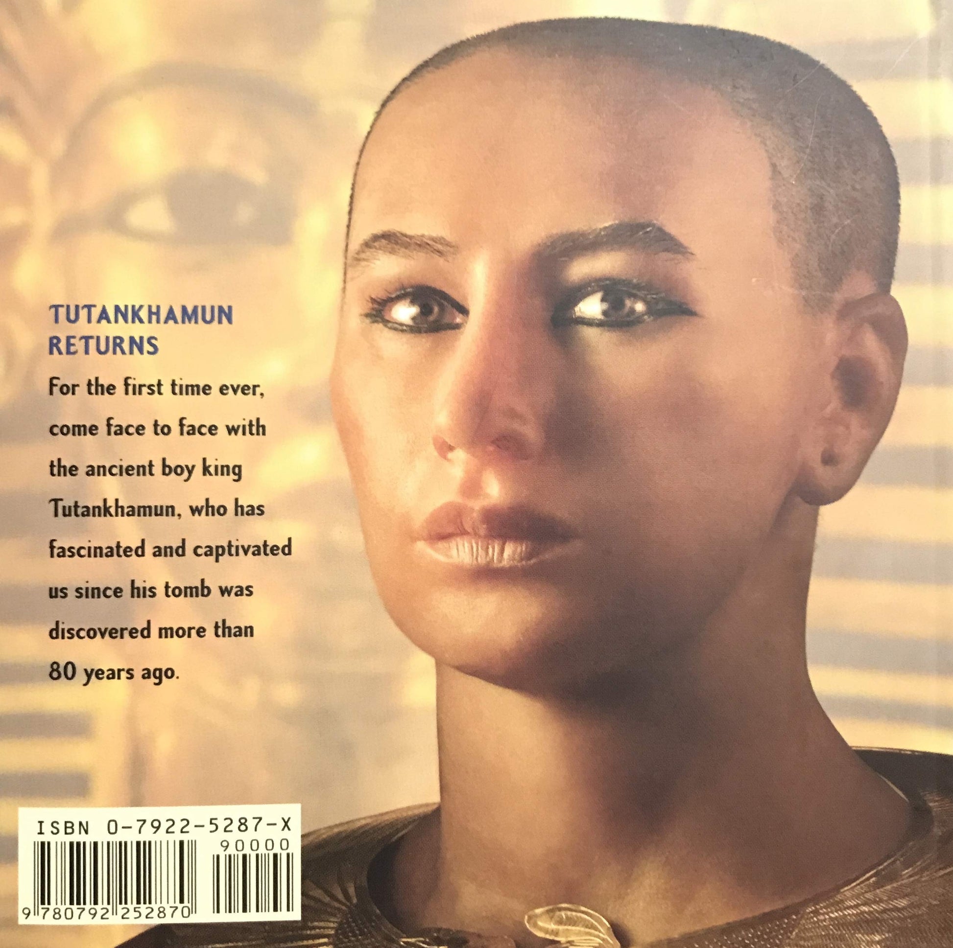 Tutankhamun and the Golden Age of the Pharaohs used book depot