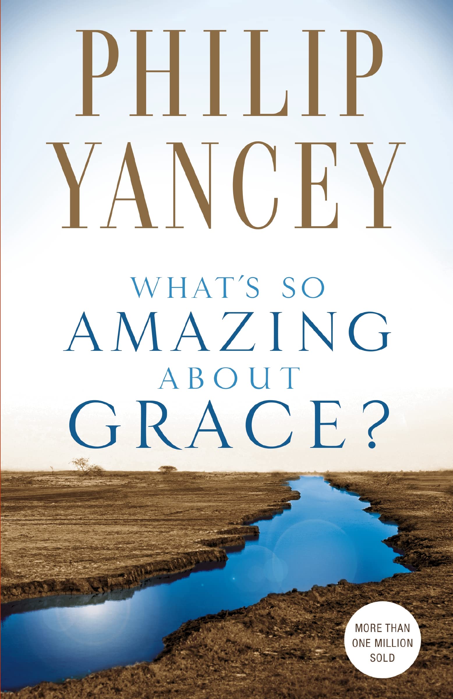 What's So Amazing About Grace? used book depot