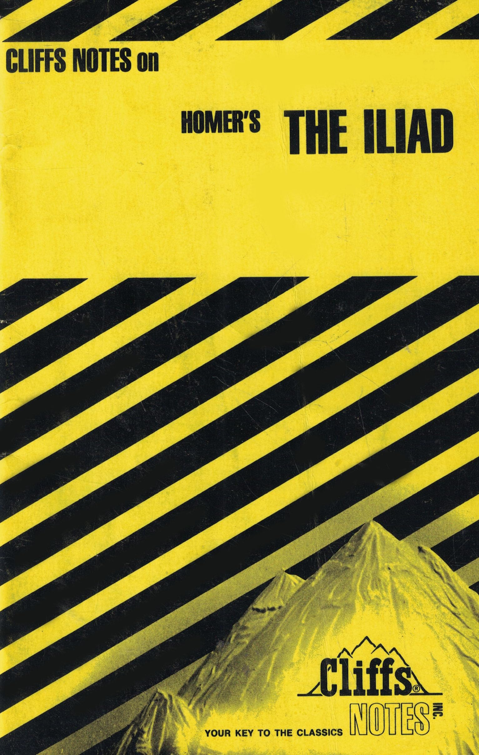 Homer's Iliad (Cliffs Notes) used book depot