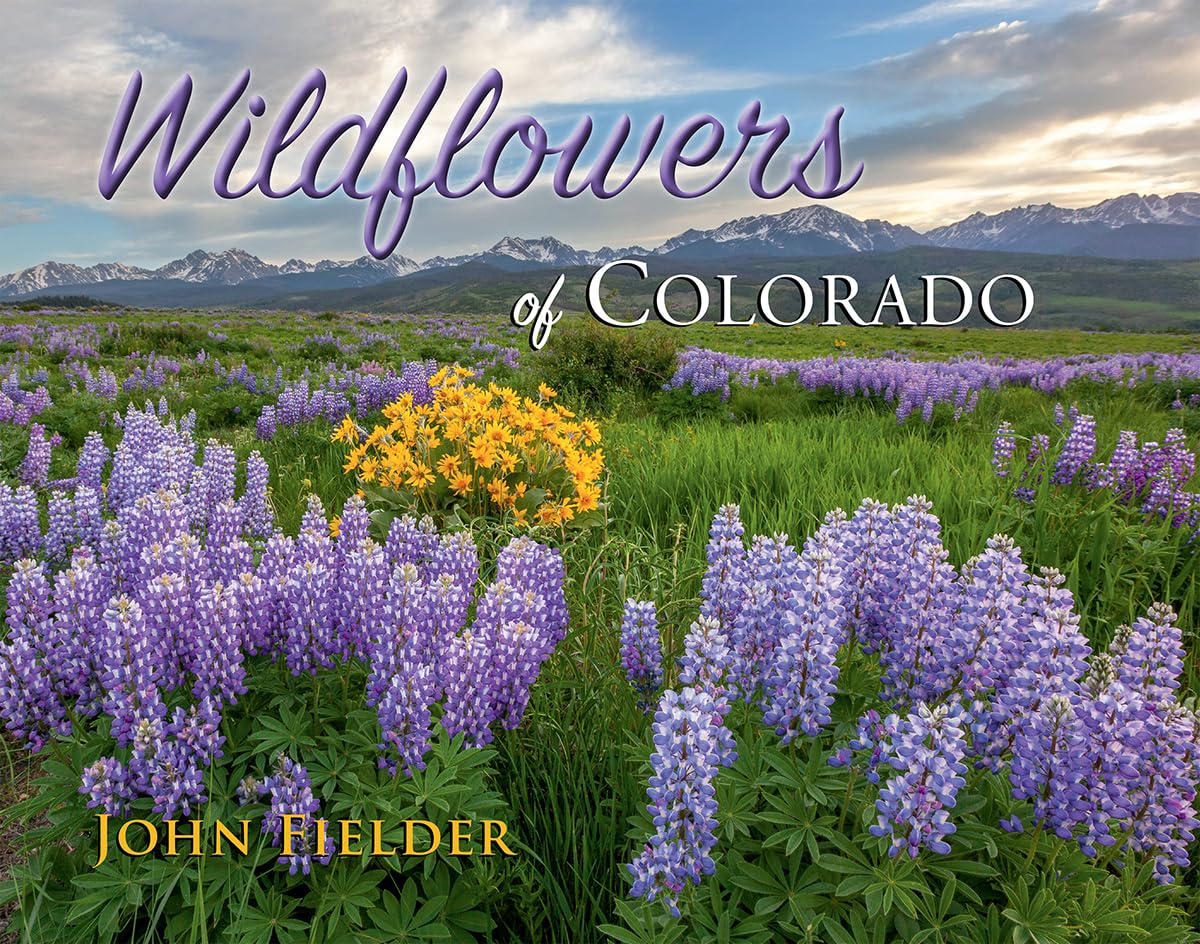 Wildflowers of Colorado used book depot