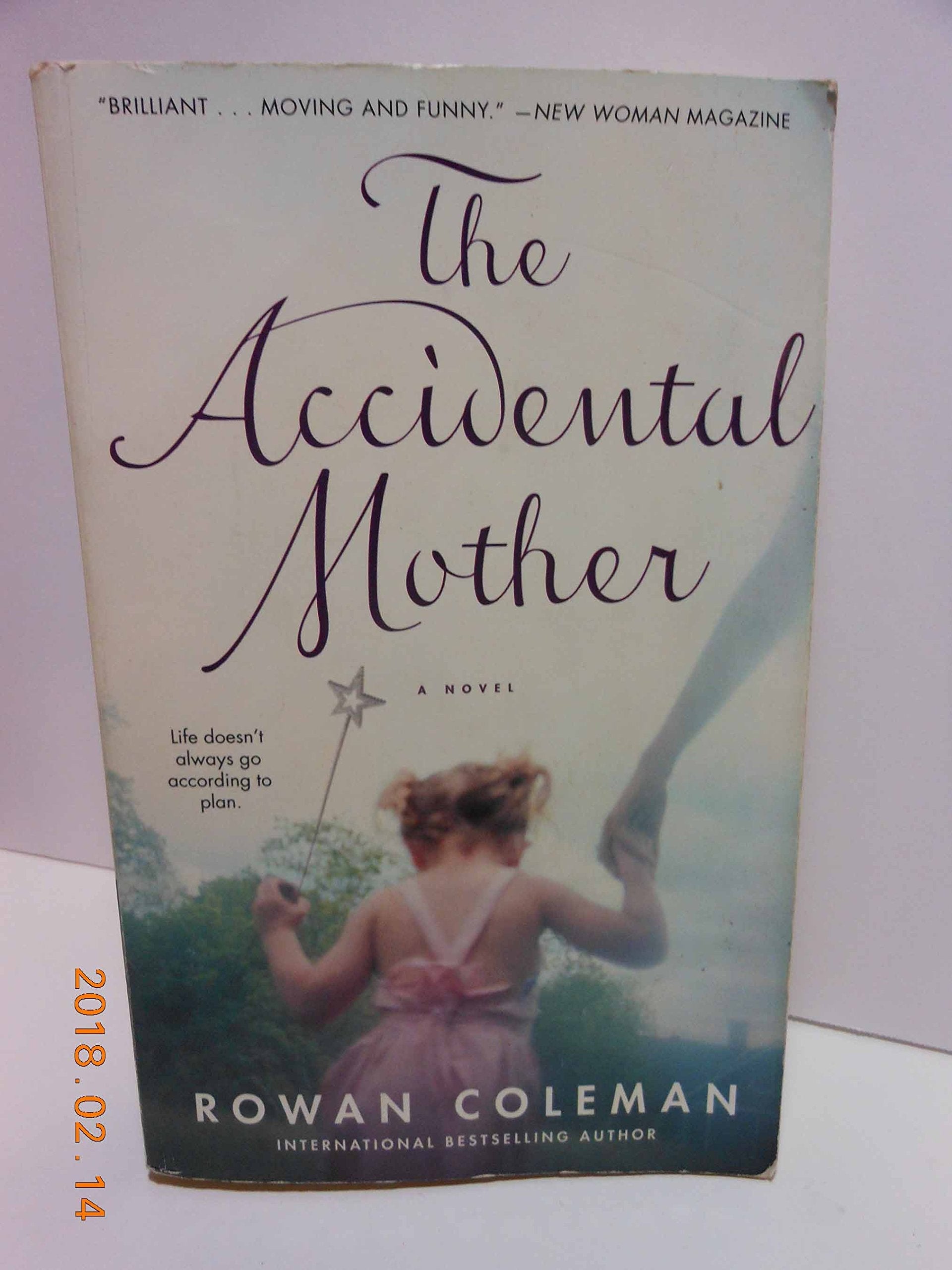 The Accidental Mother used book depot