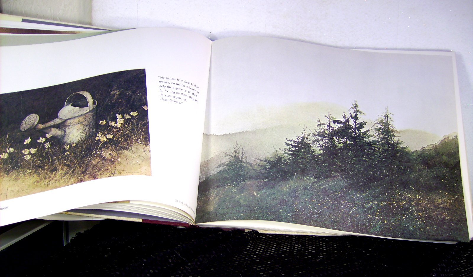 Jericho: The South Beheld used book depot