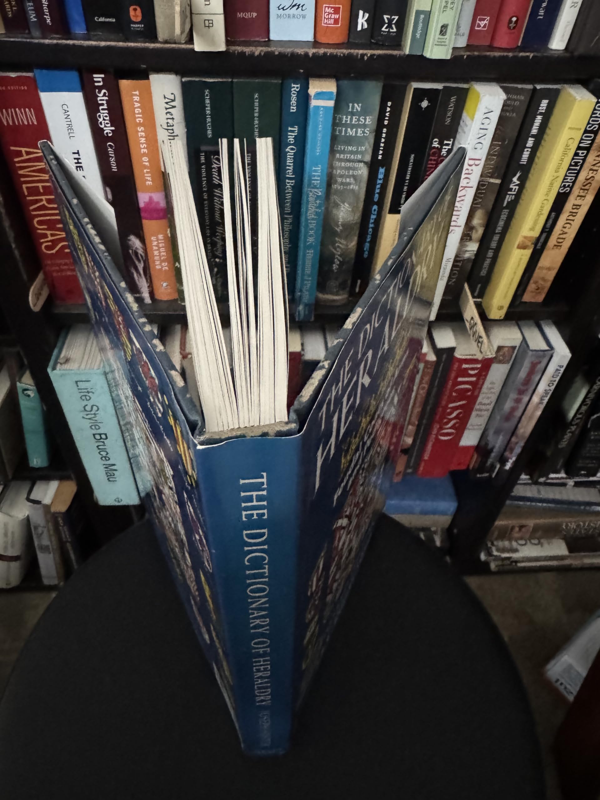 The Dictionary of Heraldry Feudal Coats of Arms and Pedigrees used book depot