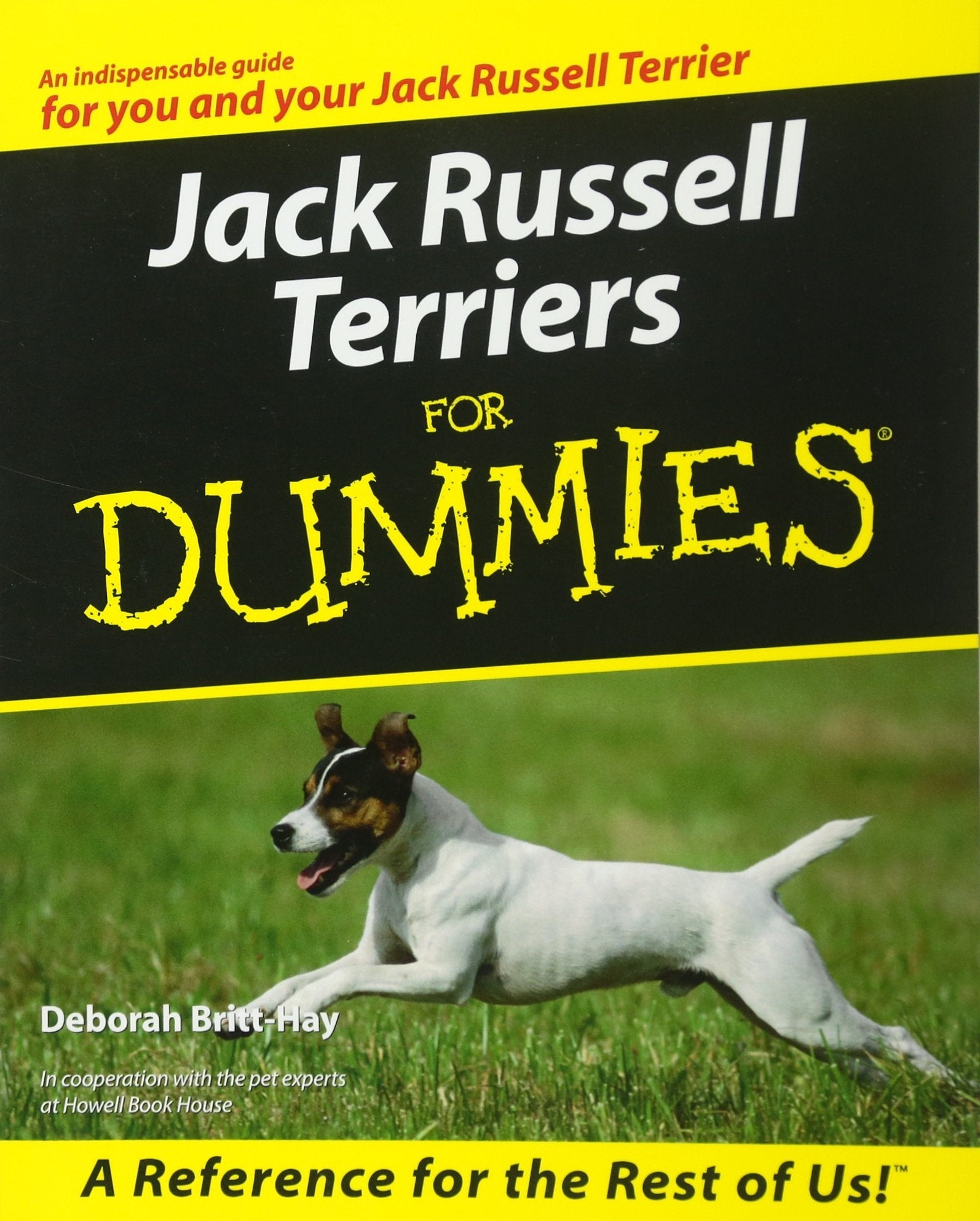 Jack Russell Terriers For Dummies used book depot