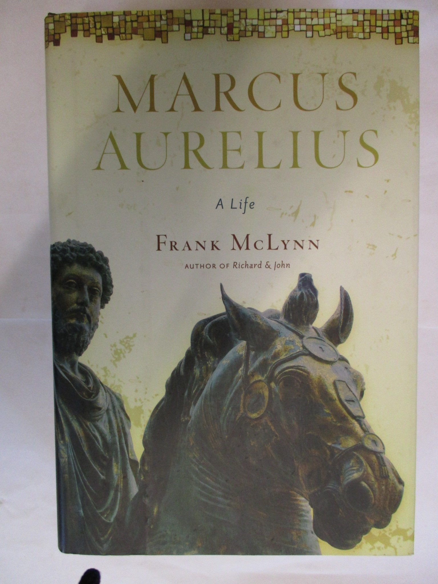 Marcus Aurelius: A Life used book depot