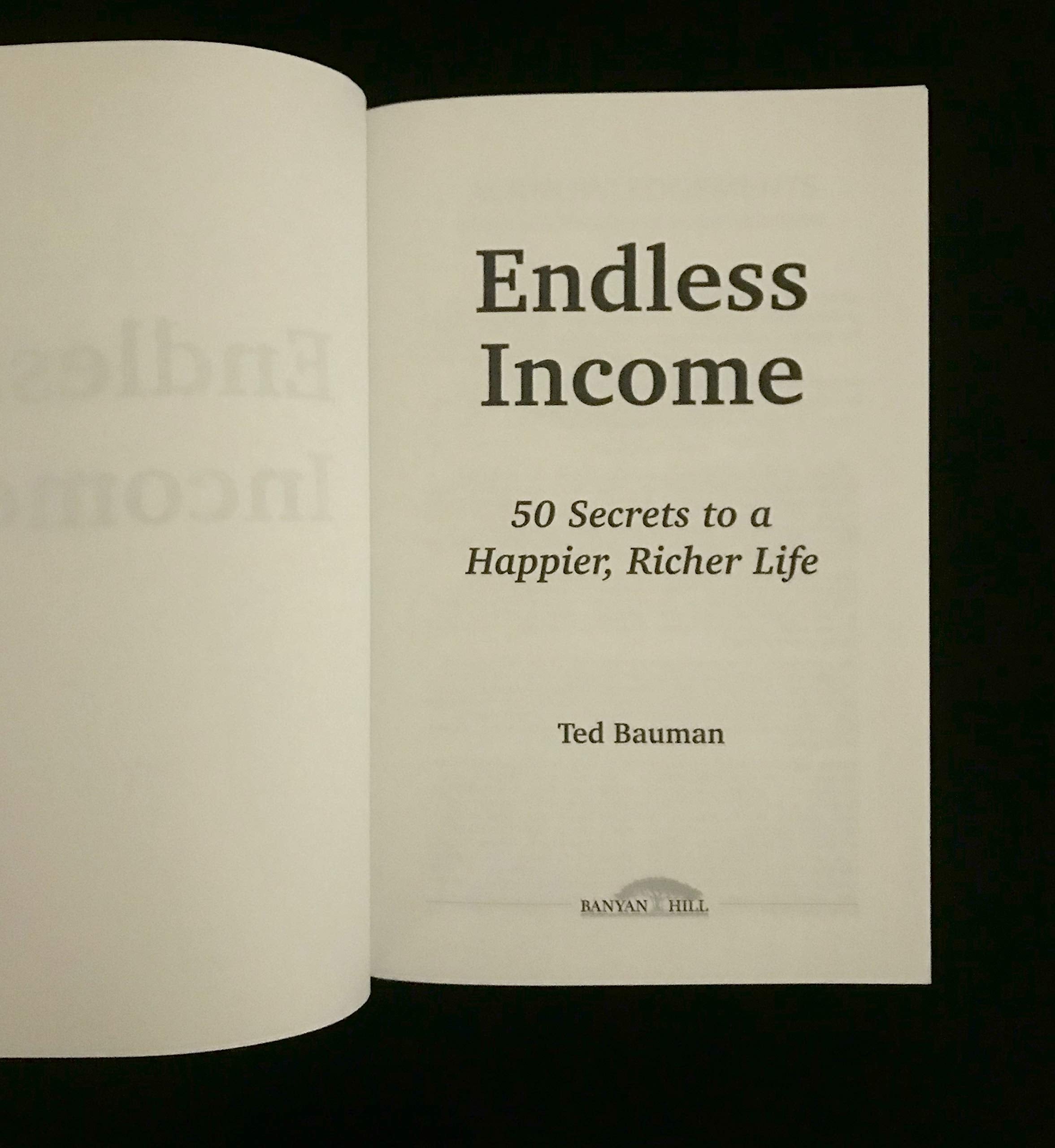 Endless Income : 50 Secrets to a Happier, Richer L used book depot