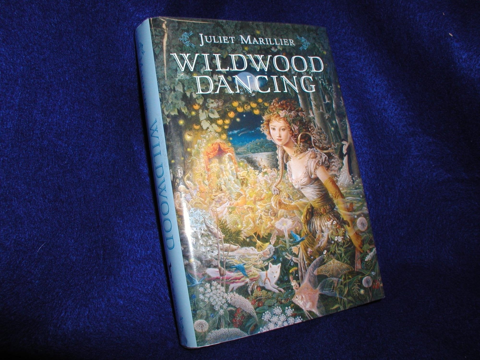 Wildwood Dancing used book depot