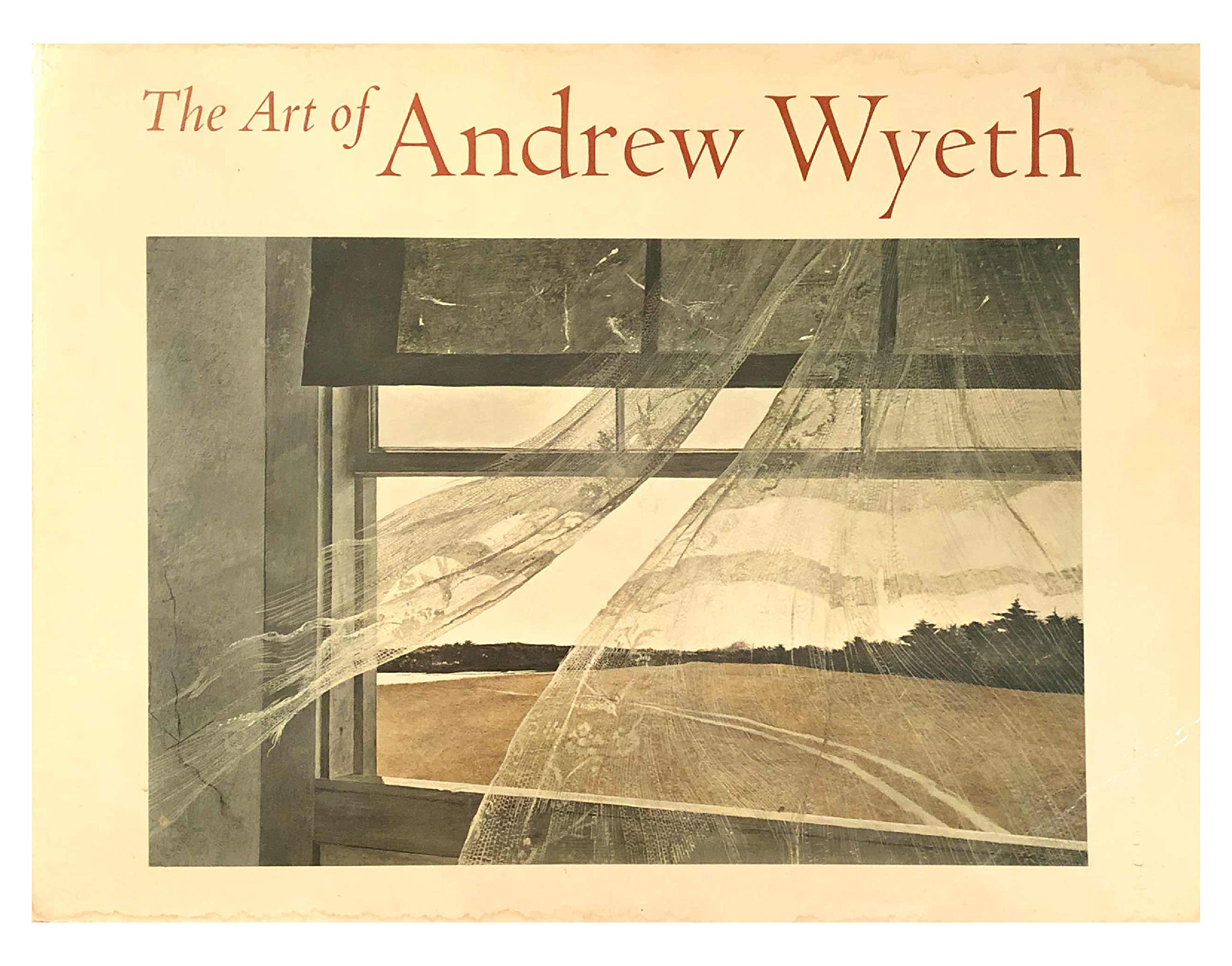 The Art of Andrew Wyeth used book depot