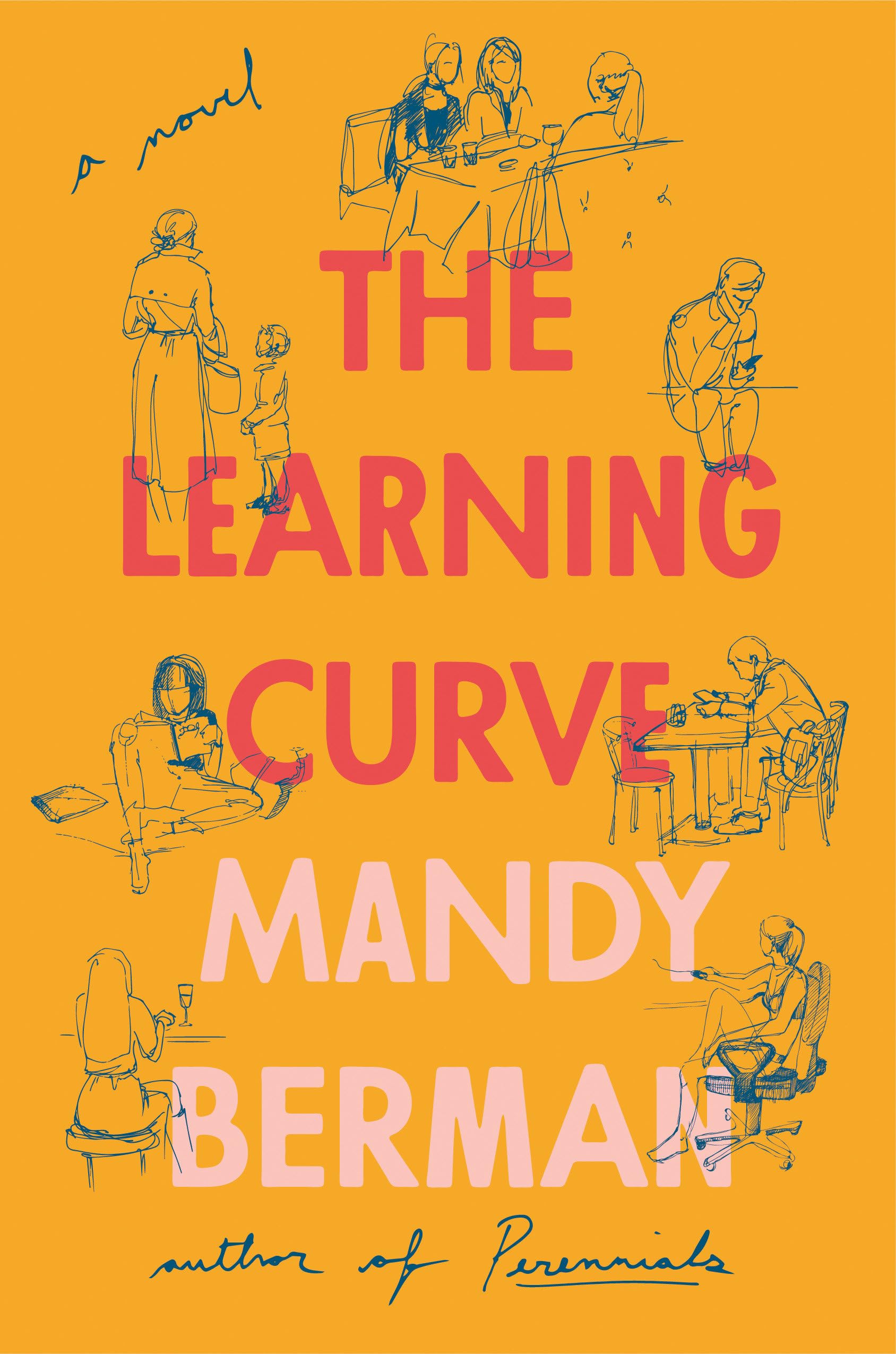 The Learning Curve: A Novel used book depot