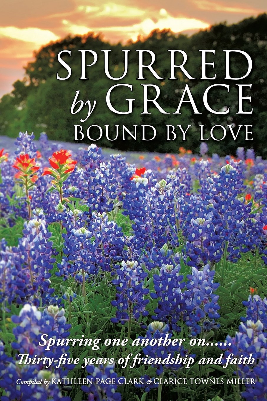 Spurred by Grace used book depot