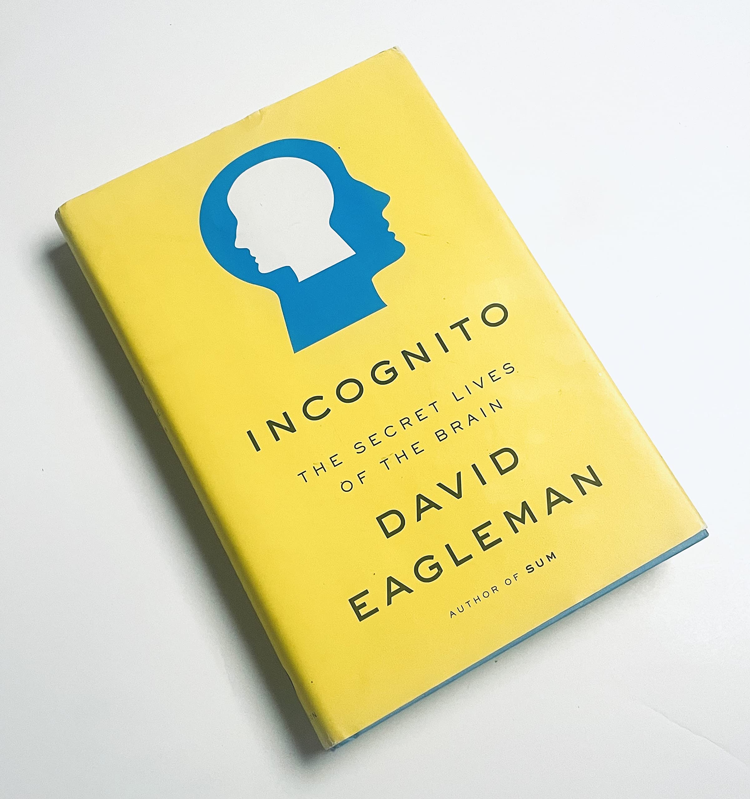 Incognito: The Secret Lives of the Brain used book depot