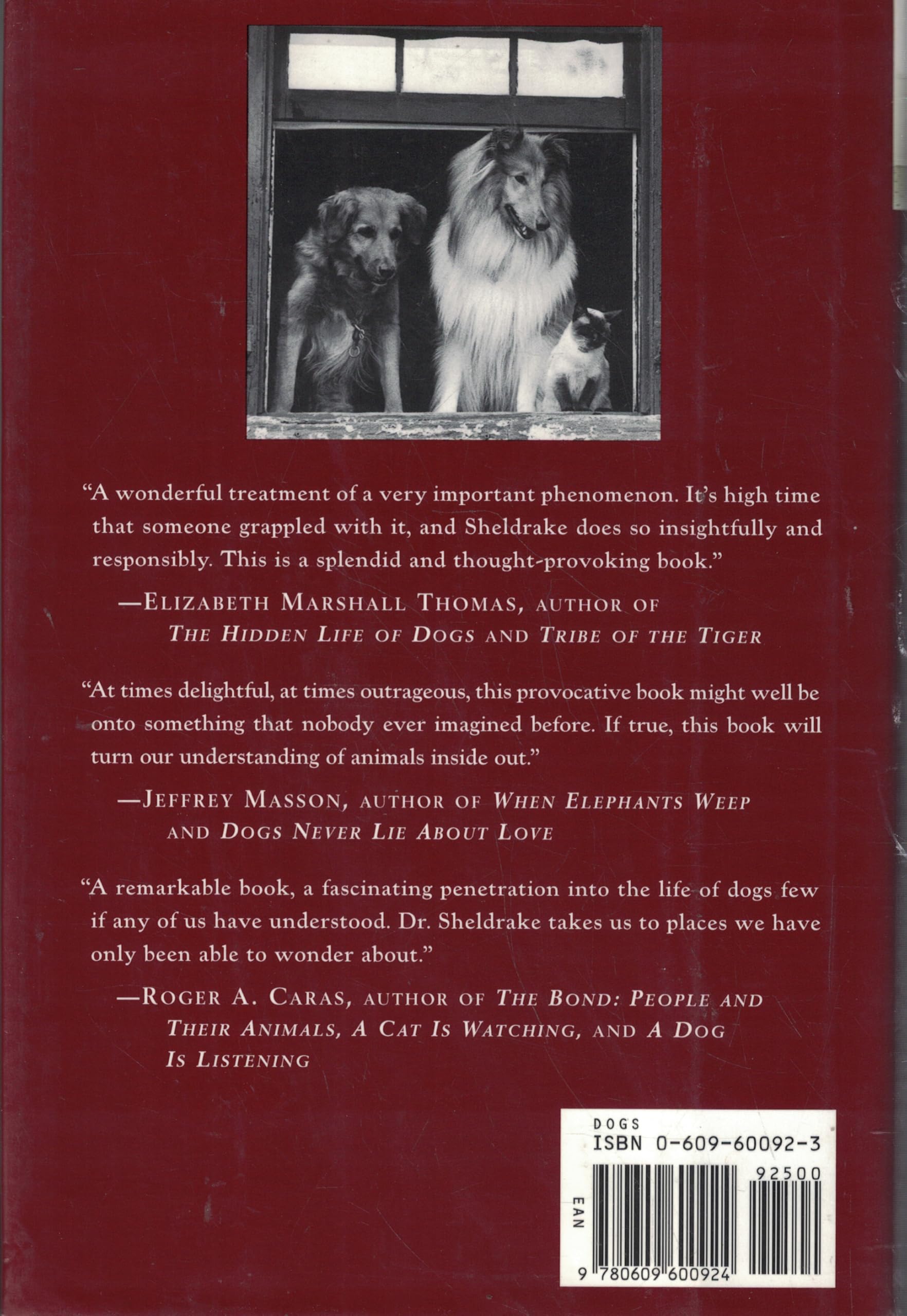 Dogs That Know When Their Owners Are Coming Home: And Other Unexplained Powers of Animals used book depot