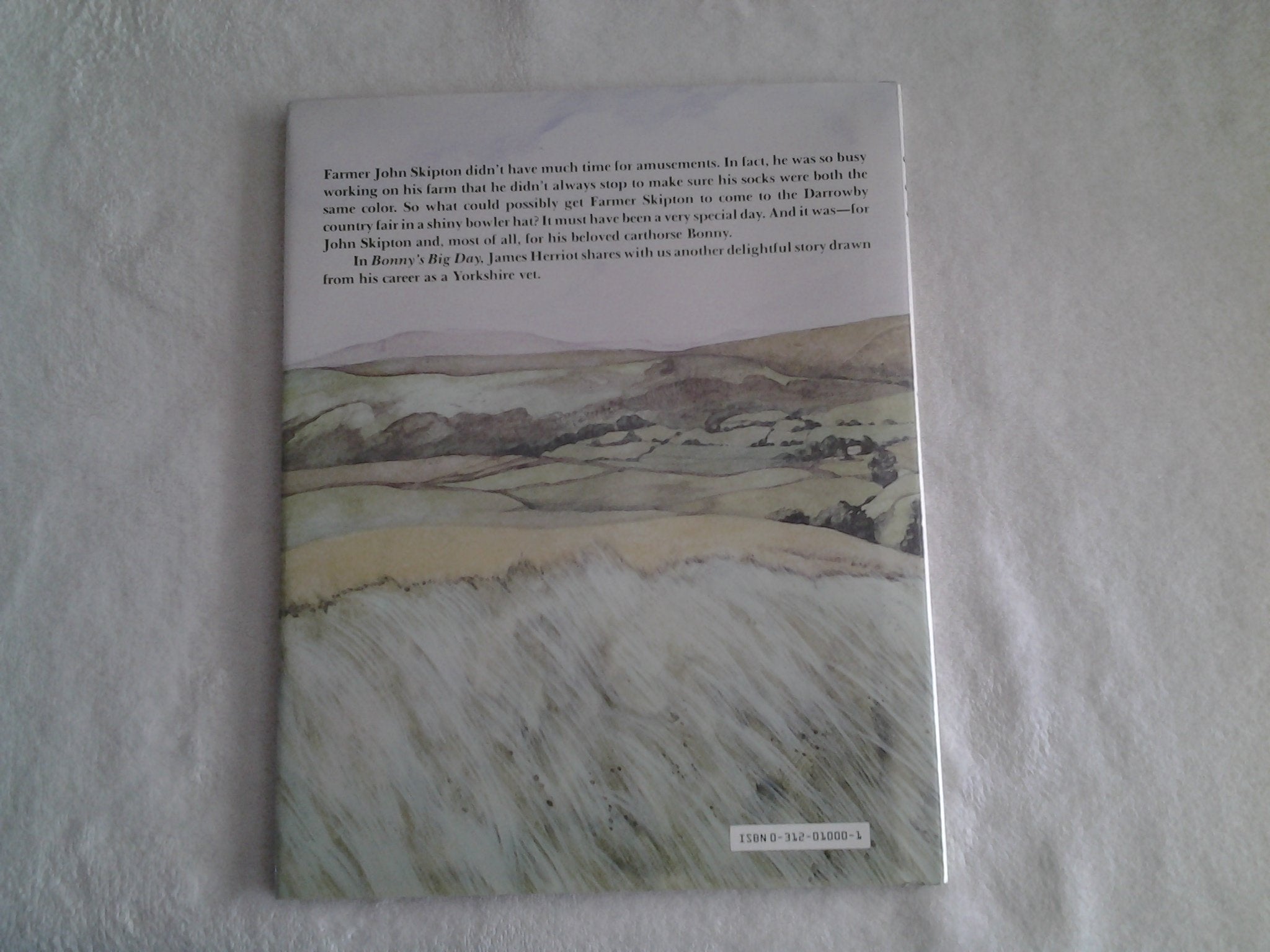 Bonny's Big Day used book depot