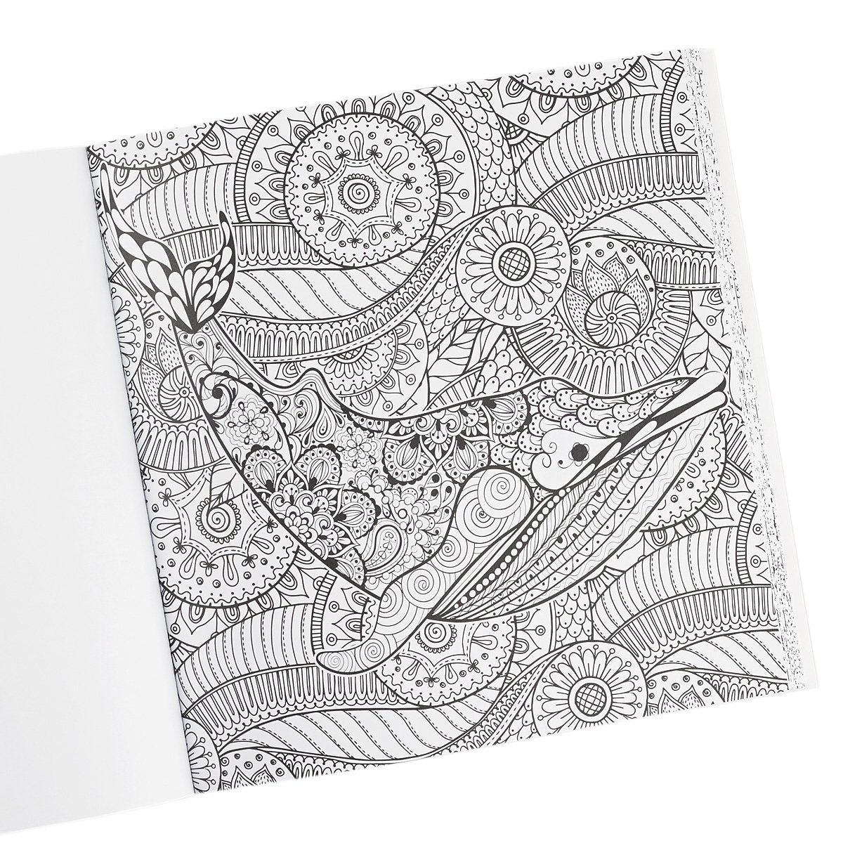 "Shine": Color Your Life Beautiful Inspirational Adult Coloring Book used book depot