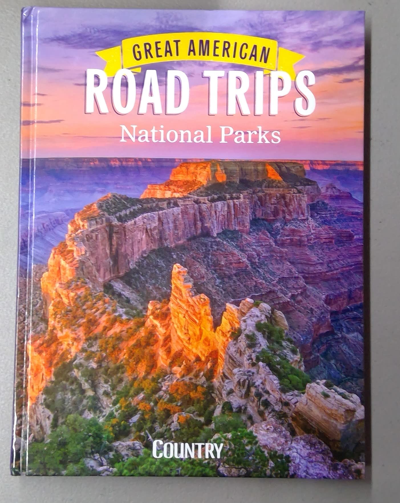 Great American Road Trips National Parks 2021 used book depot
