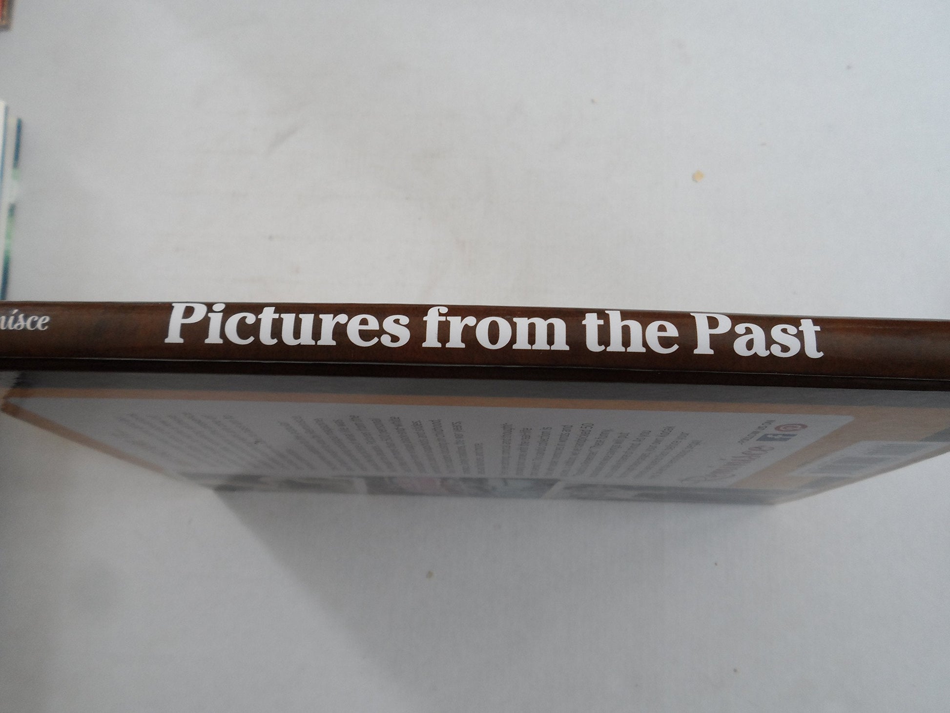 Reminisce Pictures From The Past 2015 used book depot