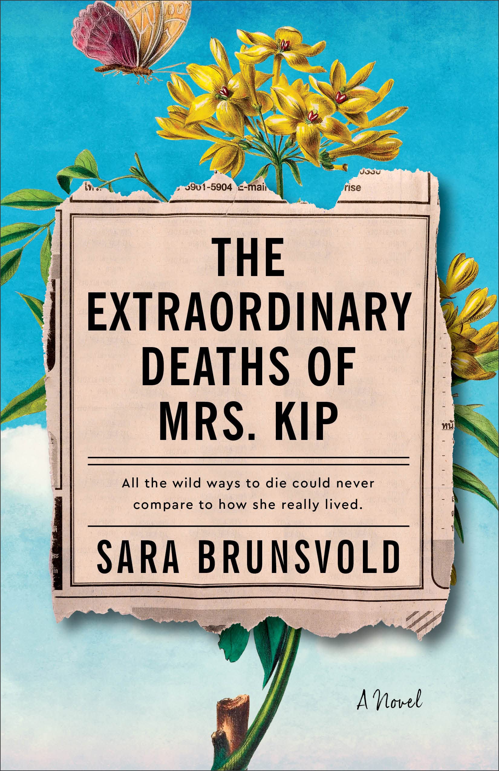 The Extraordinary Deaths of Mrs. Kip: A Novel used book depot