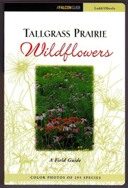 Tallgrass Prairie Wildflowers: A Field Guide used book depot