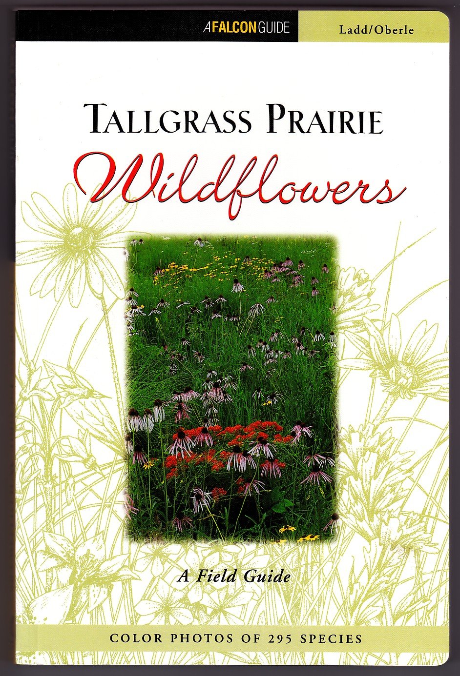 Tallgrass Prairie Wildflowers: A Field Guide used book depot