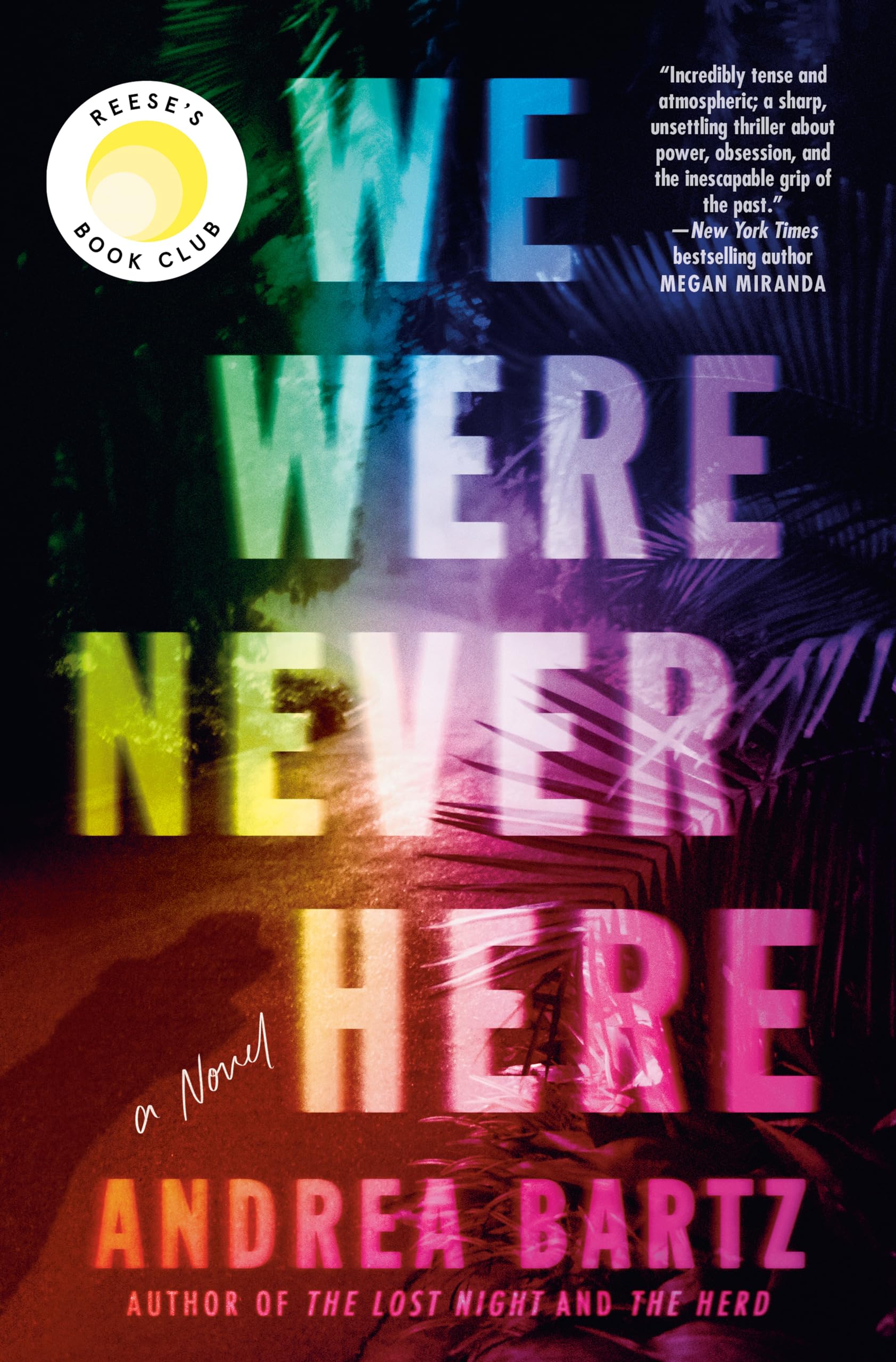 We Were Never Here: A Novel used book depot