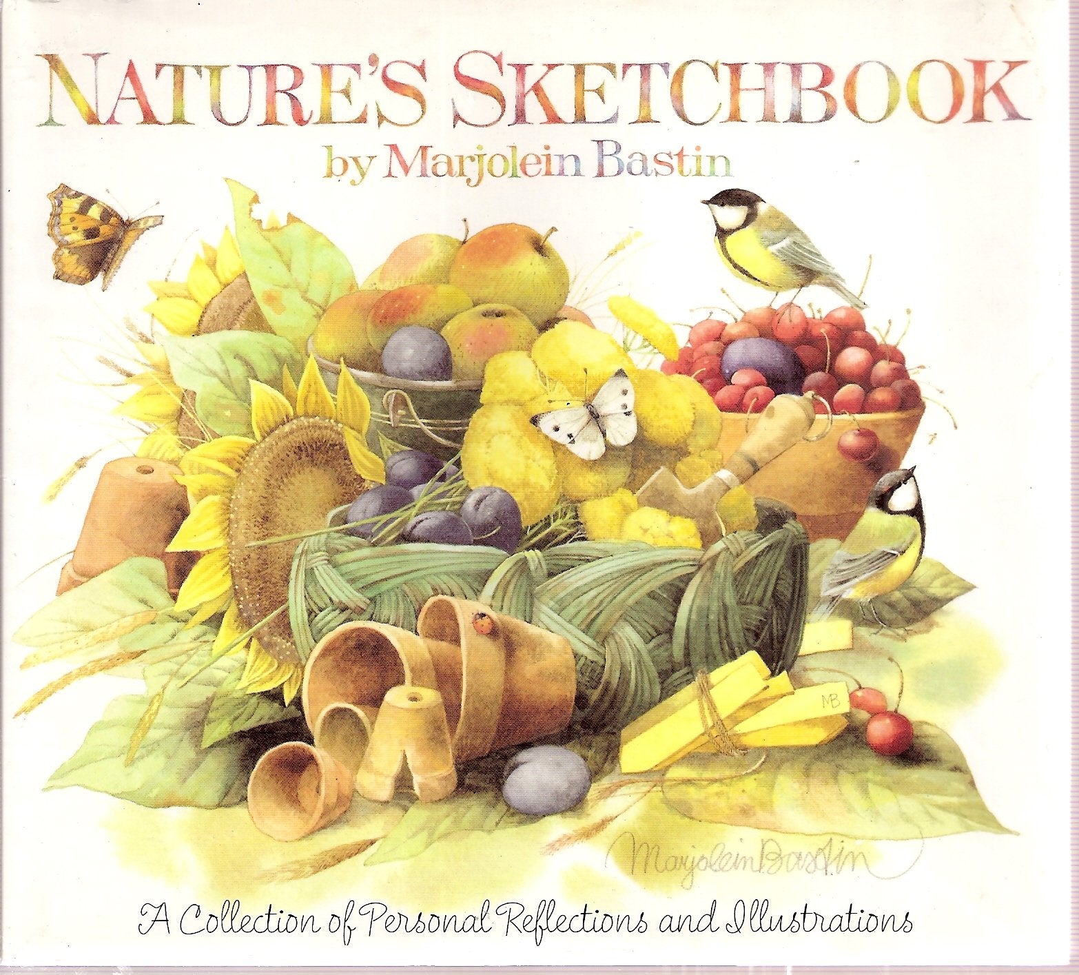 Nature's Sketchbook [Sketch Book]: A Collection of Personal Reflections and Illustrations used book depot