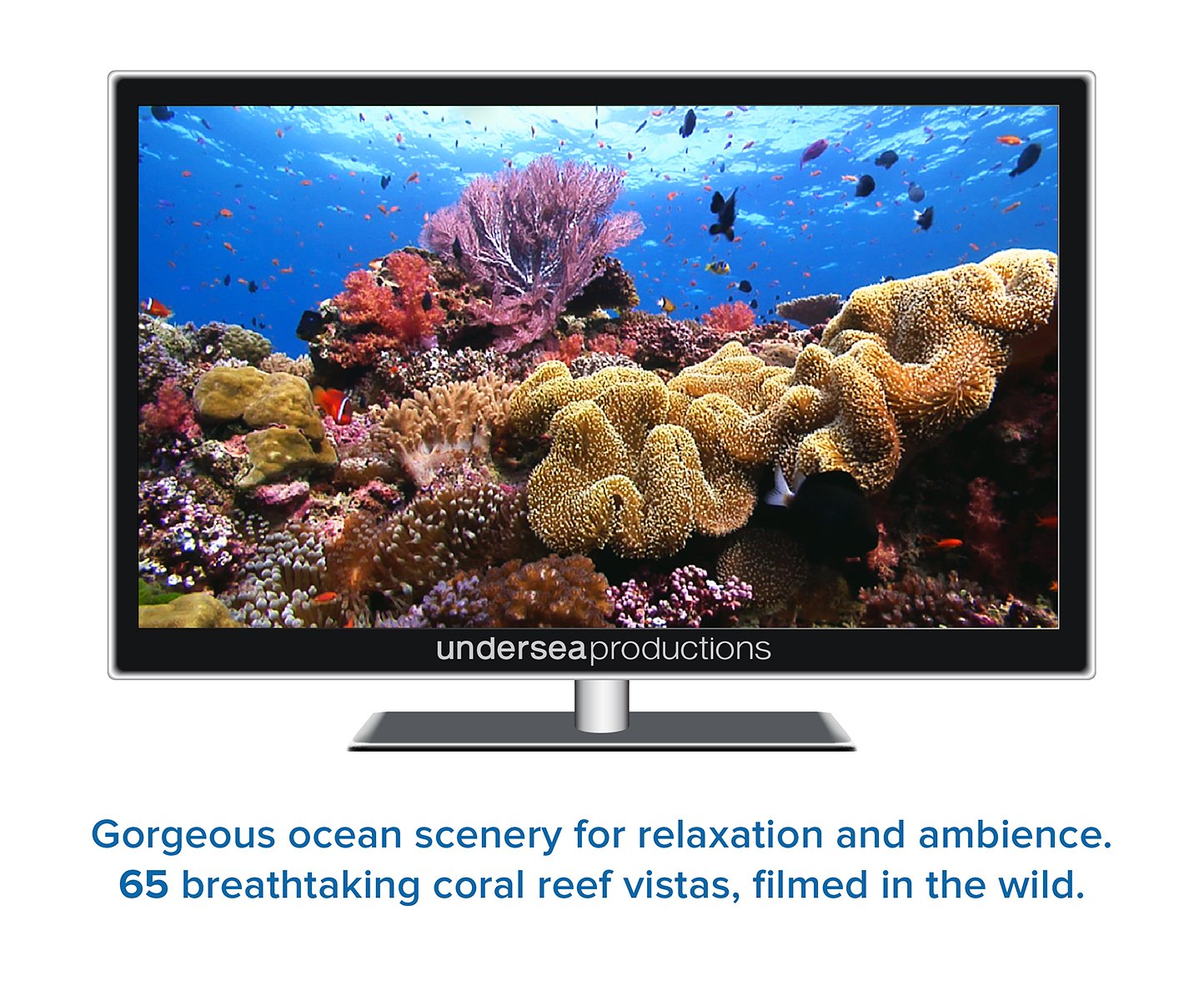 Reefscapes: Nature's Aquarium DVD, nature video of tropical fish and coral reefs filmed in the ocean, for relaxation and ambience used book depot