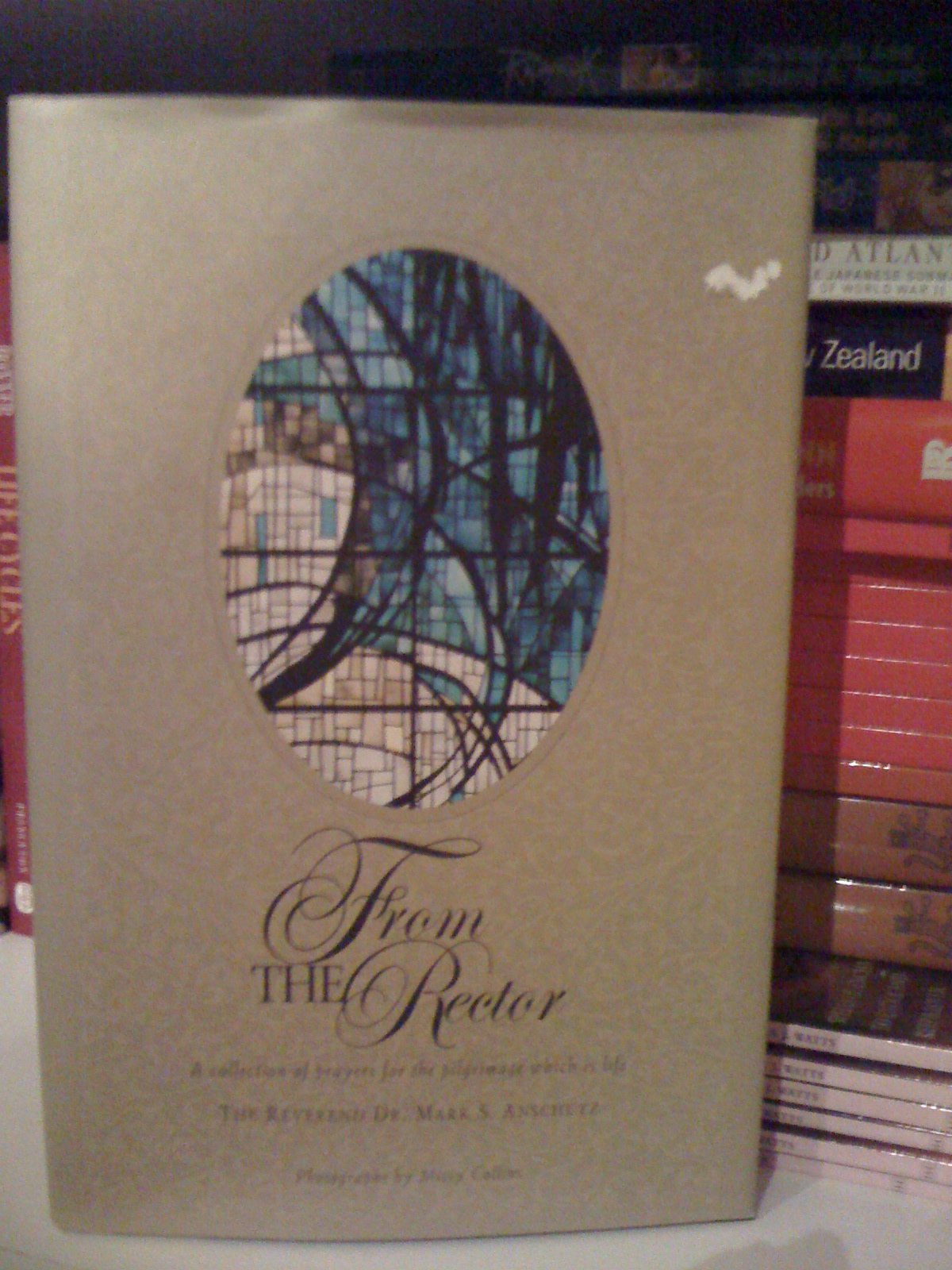 From The Rector: A Collection Of Prayers For The Pilgrimage Which Is Life used book depot