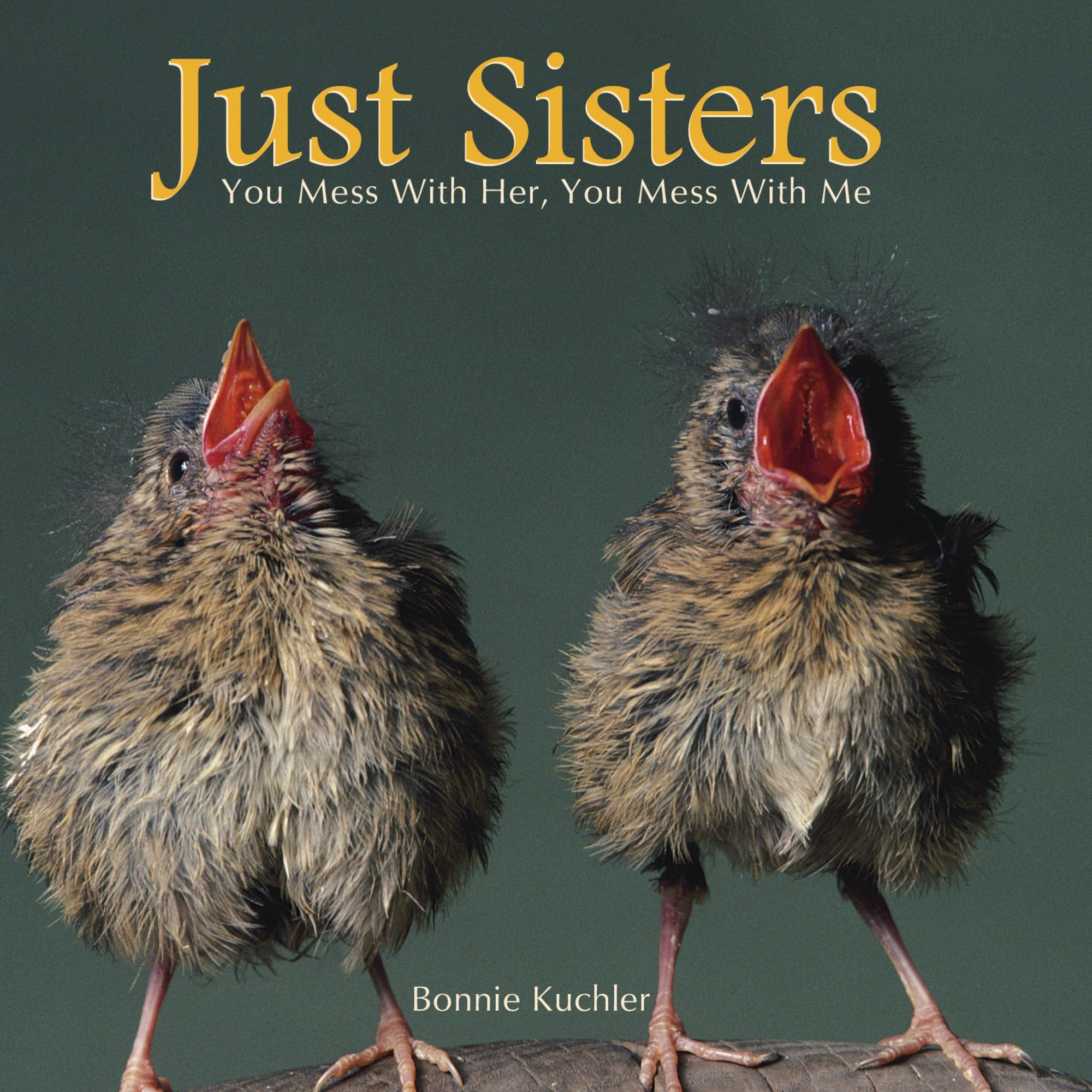 Just Sisters: You Mess With Her, You Mess With Me used book depot