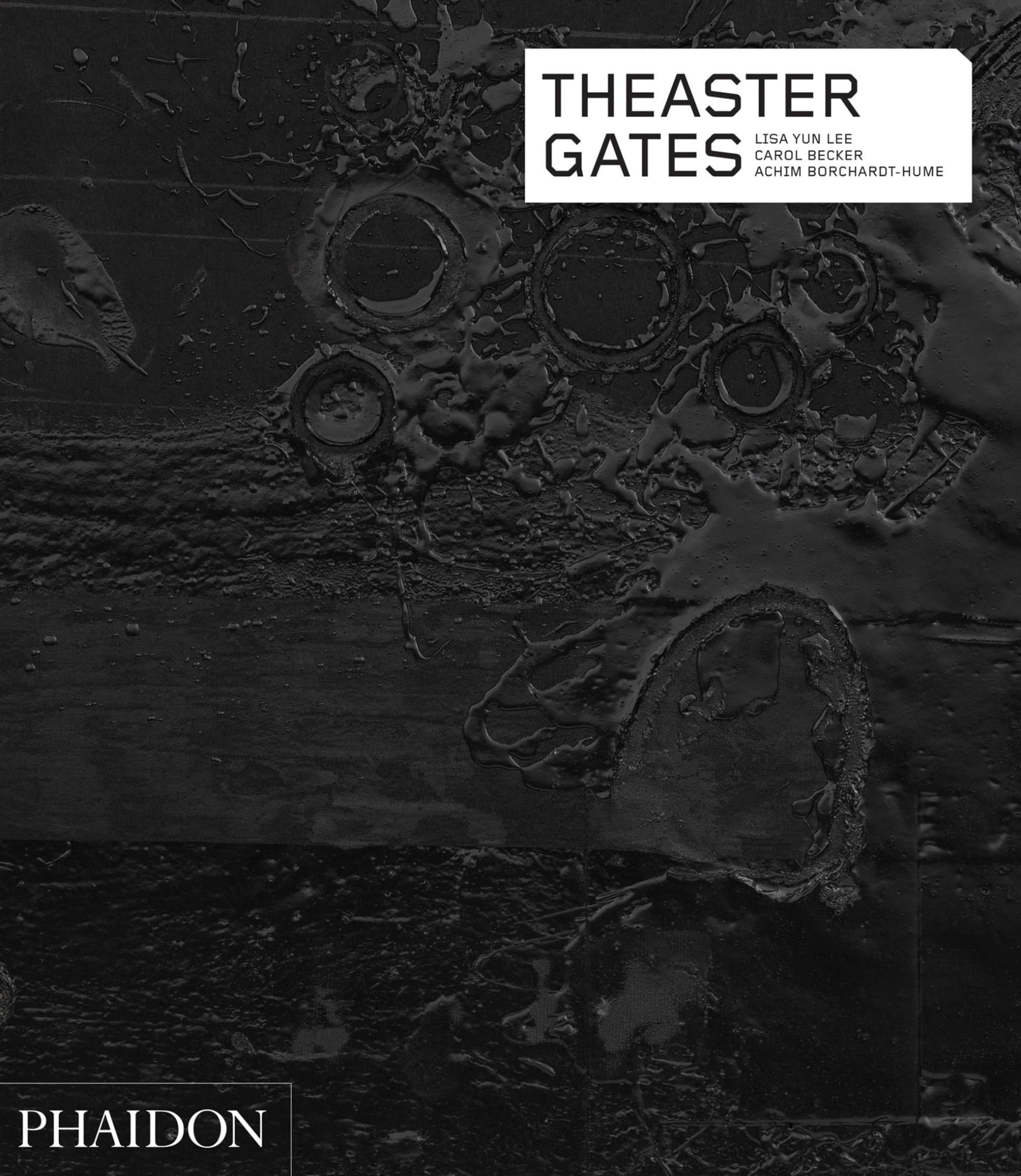 Theaster Gates (Phaidon Contemporary Artists Series) used book depot