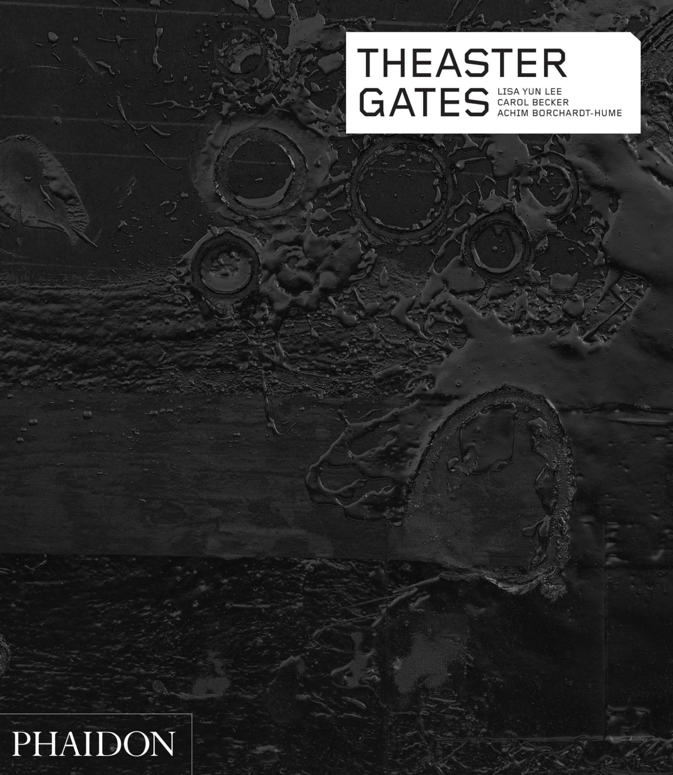 Theaster Gates (Phaidon Contemporary Artists Series) used book depot
