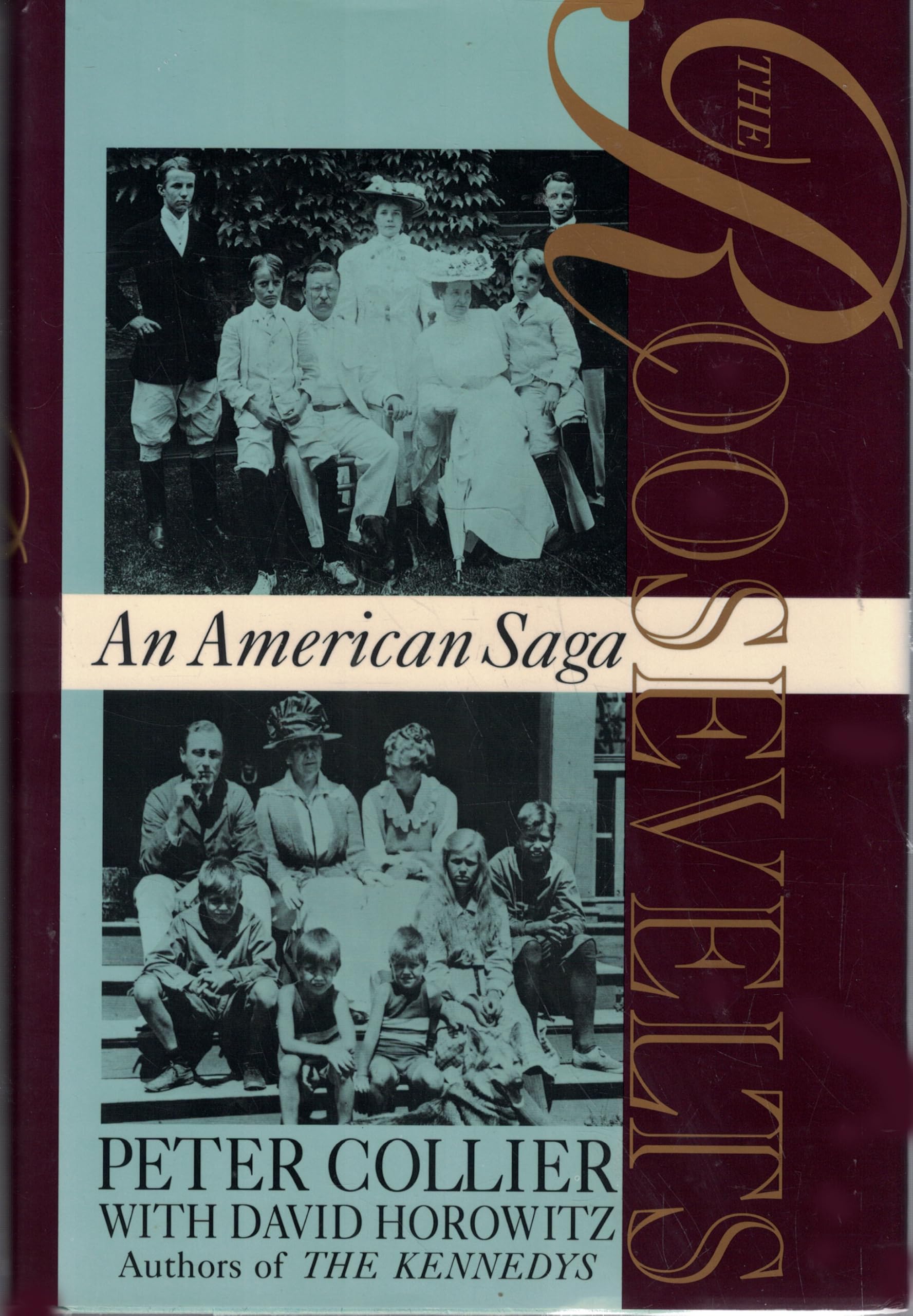 The Roosevelts: An American Saga used book depot