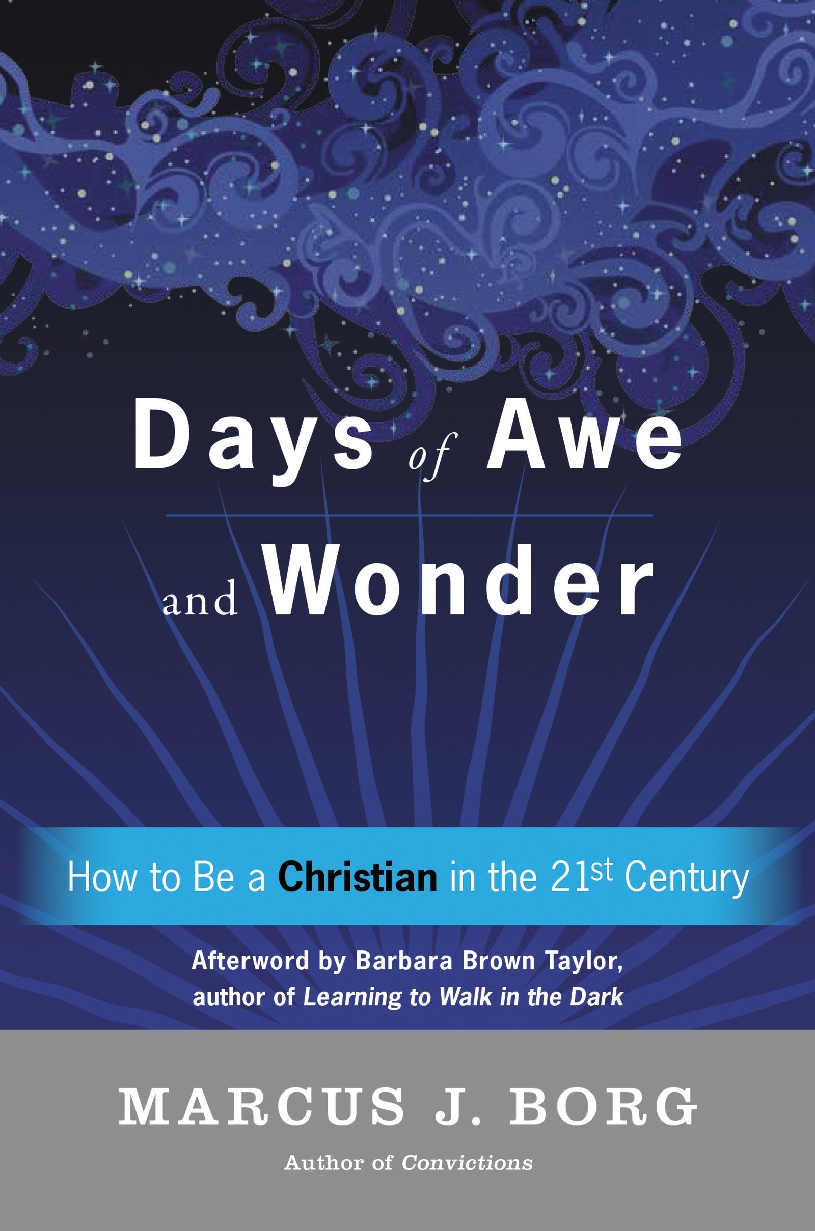 Days of Awe and Wonder: How to Be a Christian in the Twenty-first Century used book depot