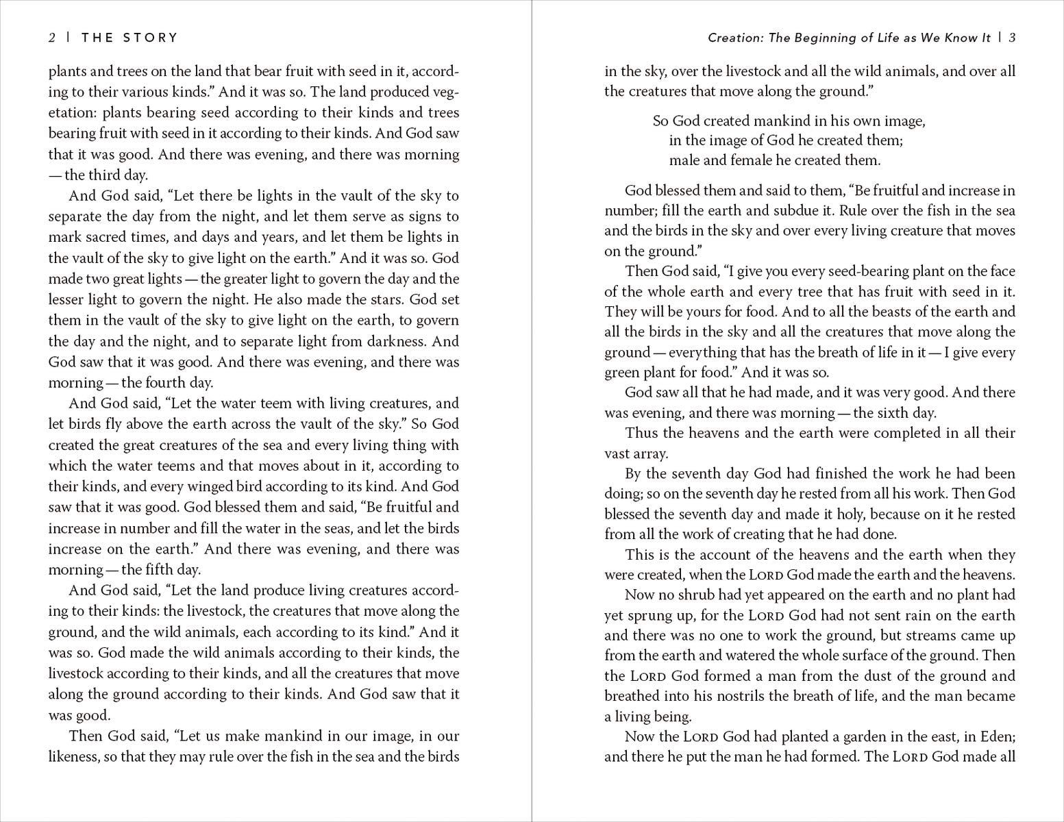 NIV, The Story, Hardcover: The Bible as One Continuing Story of God and His People used book depot