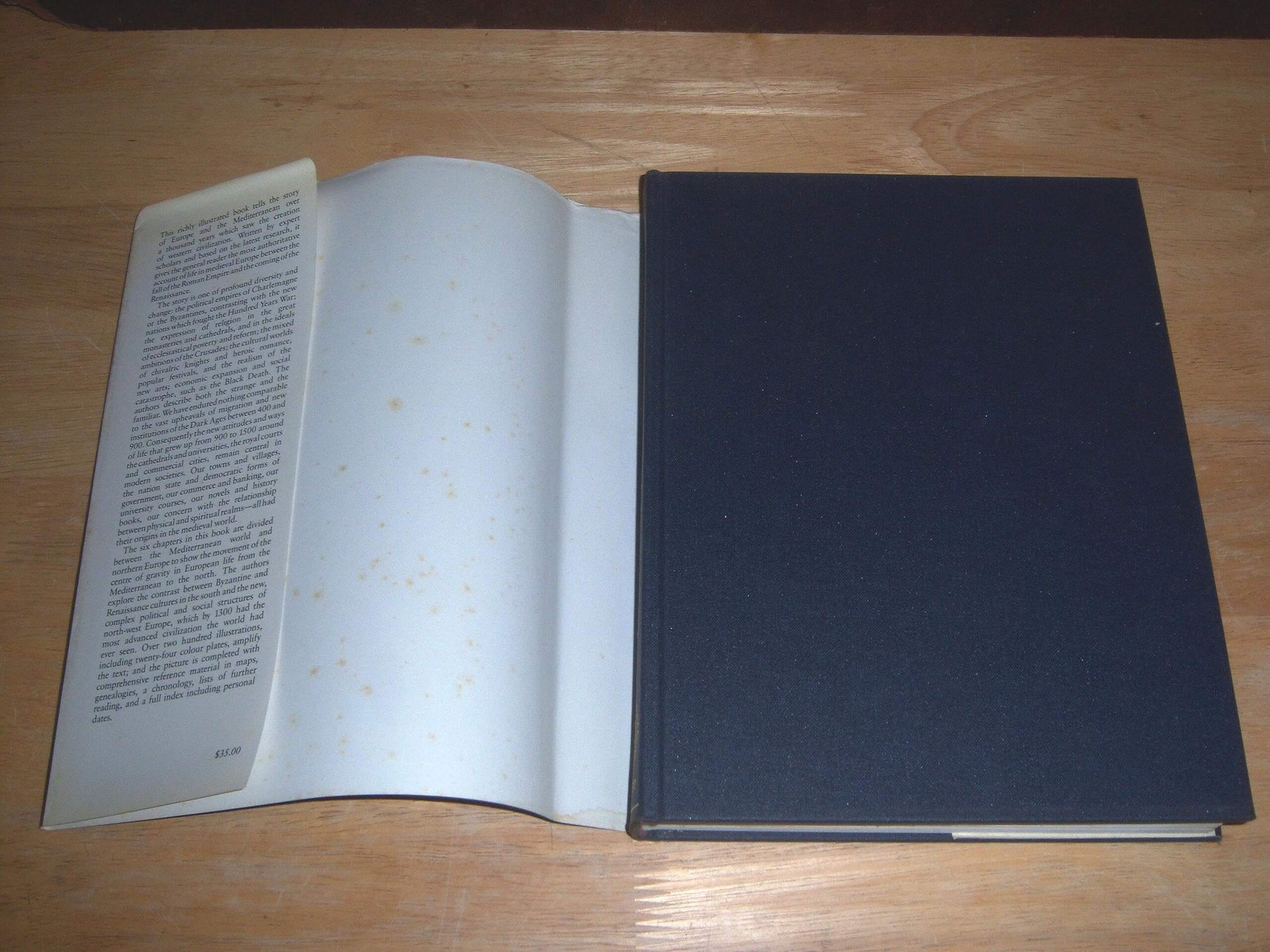 The Oxford Illustrated History of Medieval Europe (Oxford Illustrated Histories) used book depot