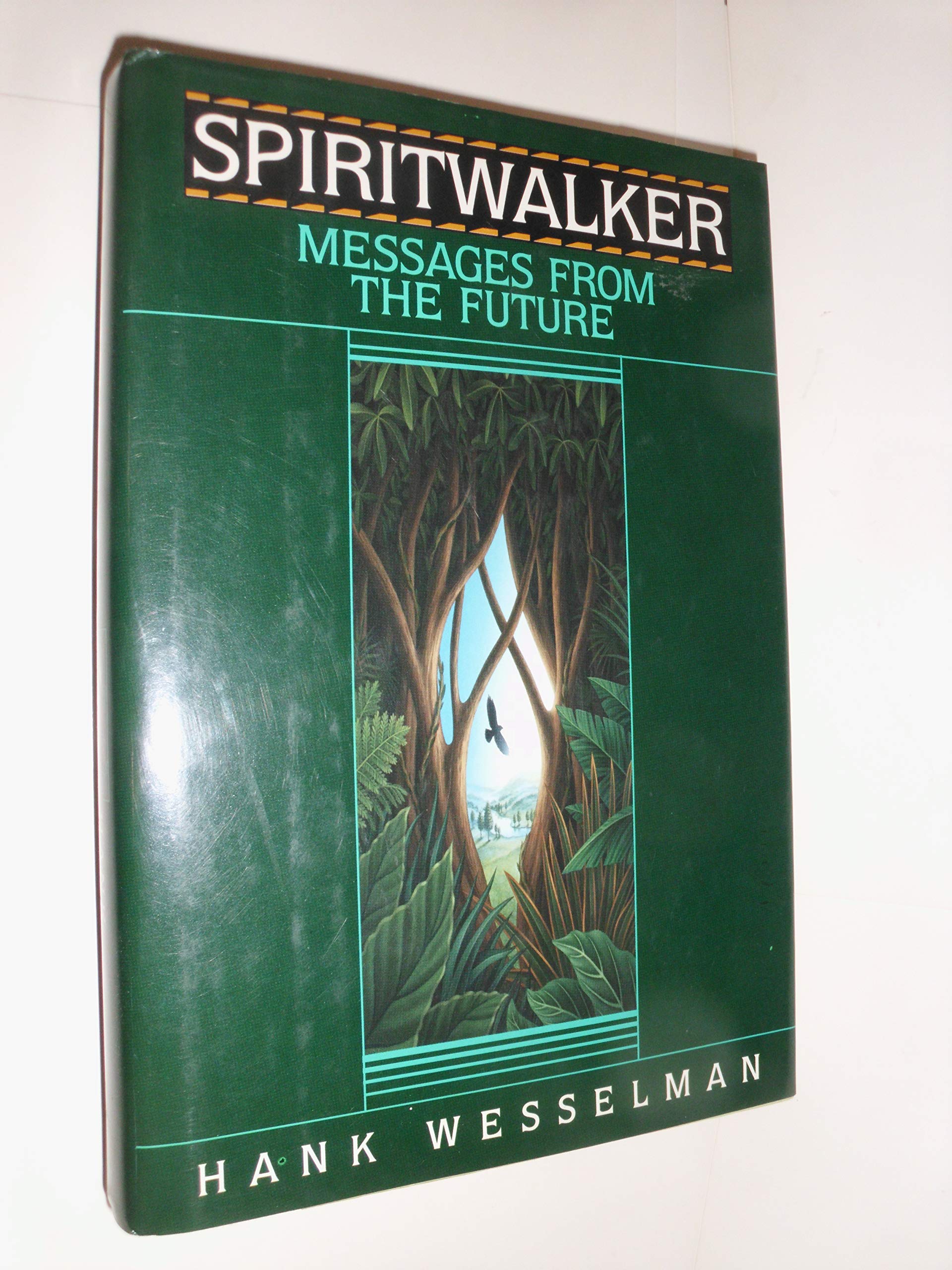 Spiritwalker: Messages from the Future used book depot