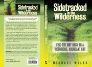 Sidetracked in the Wilderness: Find the Way Back to a Victorious, Abundant Life used book depot