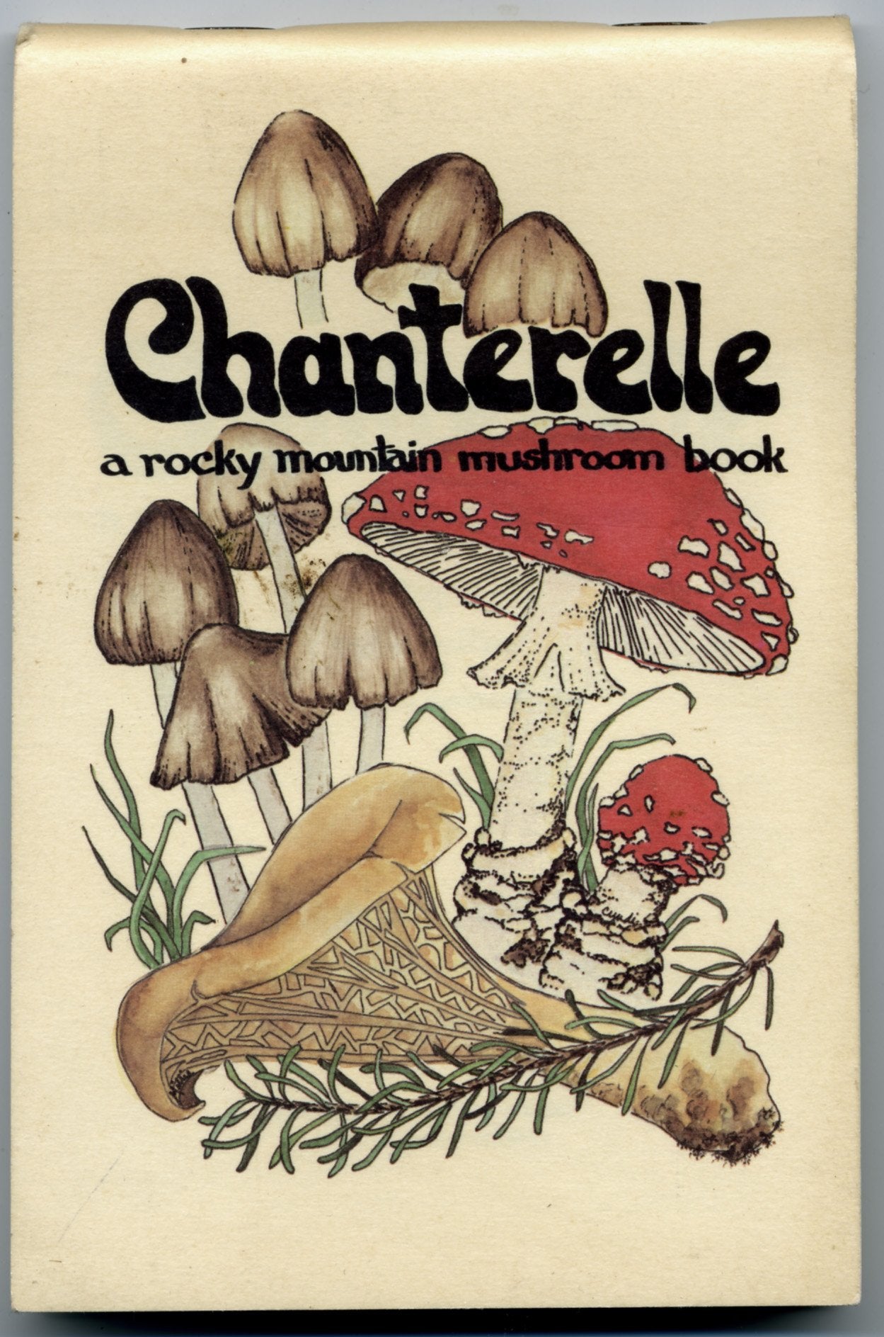 Chanterelle: A Rocky Mountain Mushroom Book used book depot