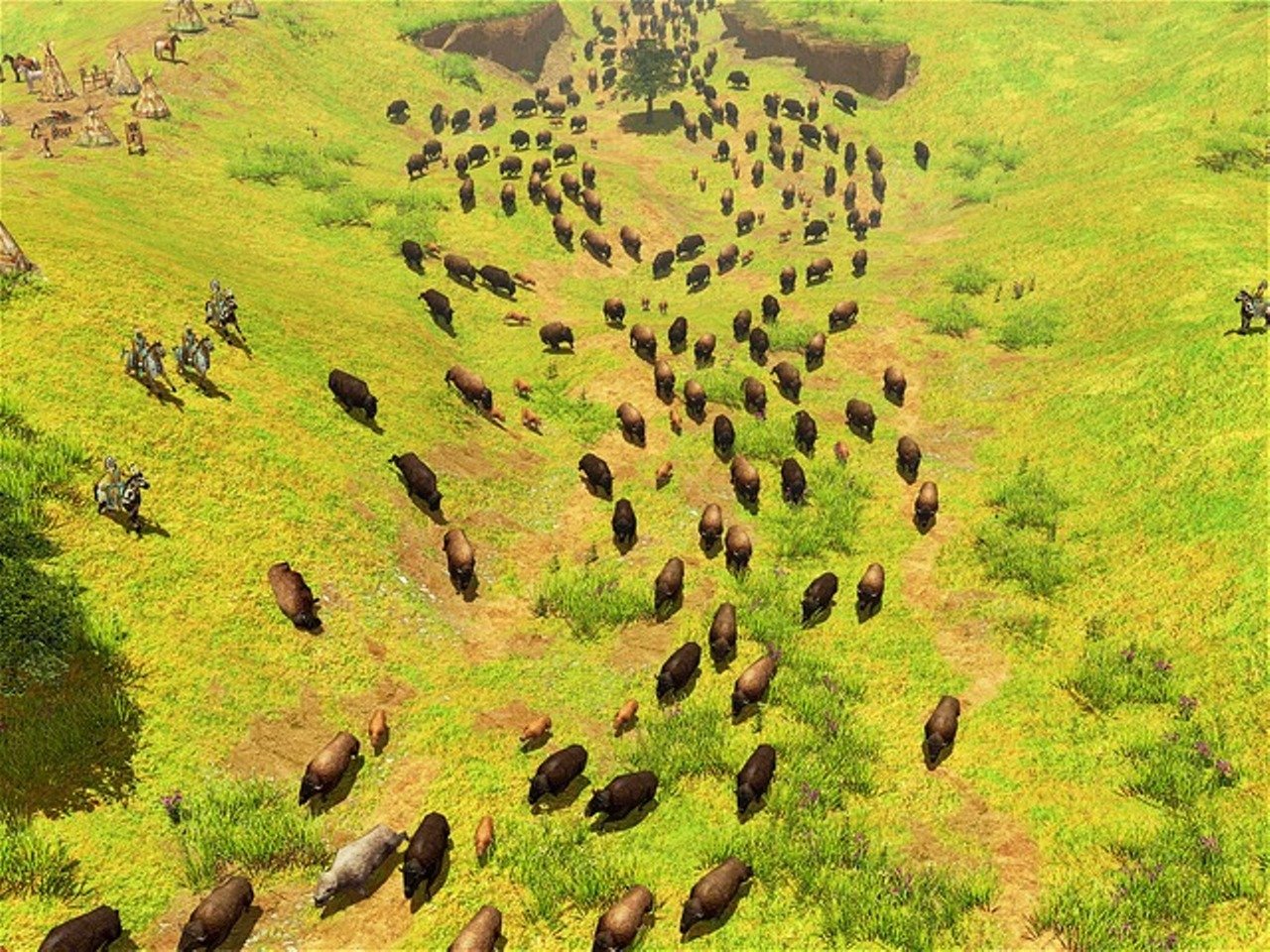 Age of Empires III Gold Edition used book depot