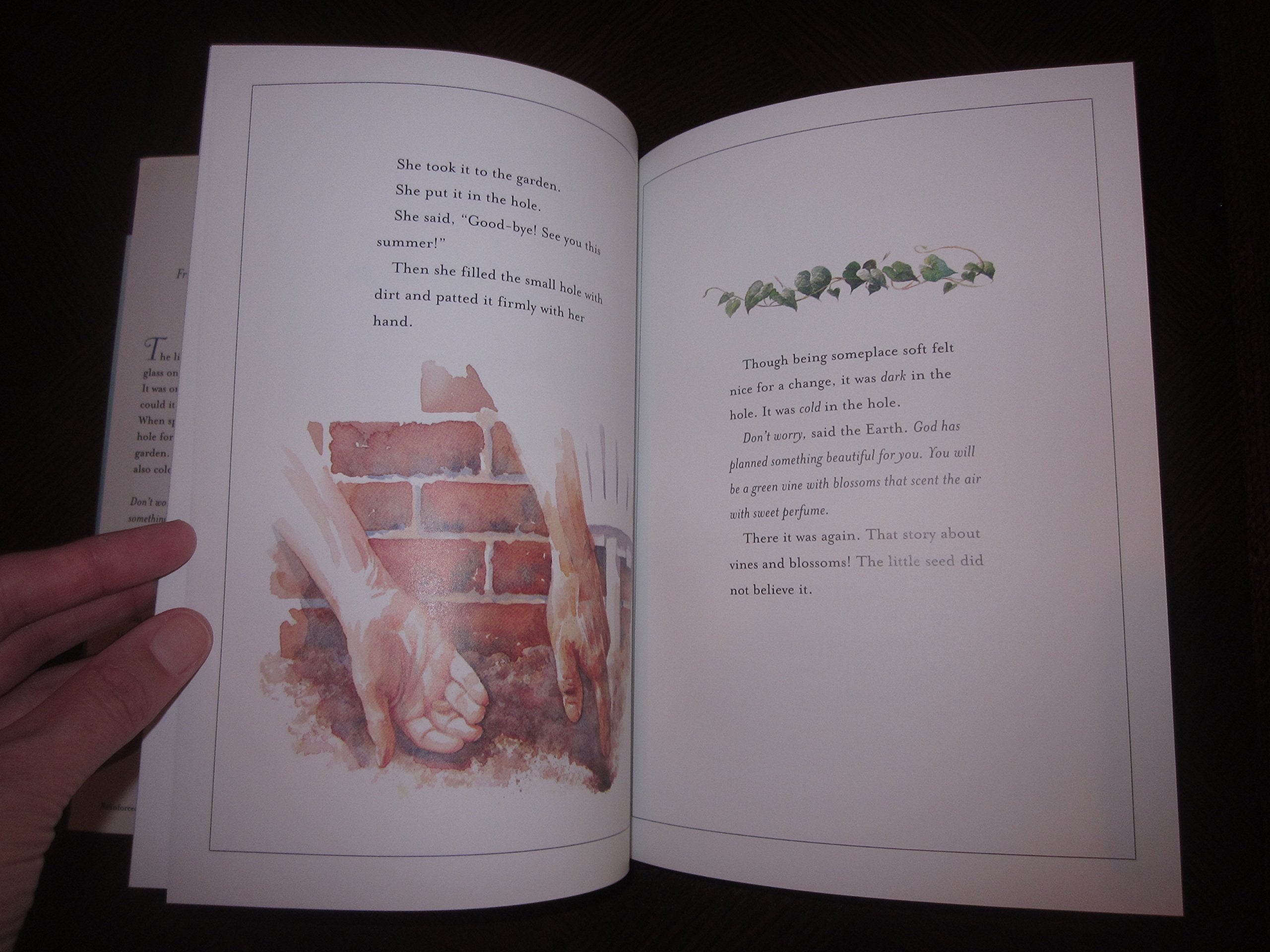 The Trellis and the Seed: A Book of Encouragement for All Ages used book depot