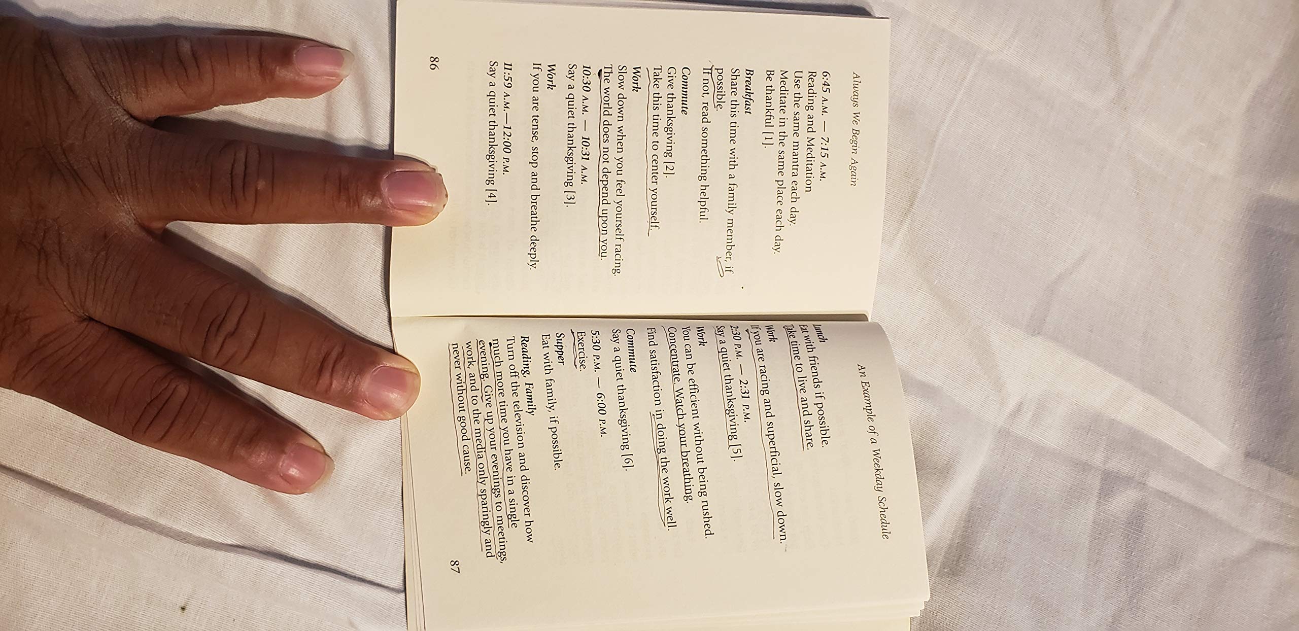 Always We Begin Again: The Benedictine Way of Living used book depot