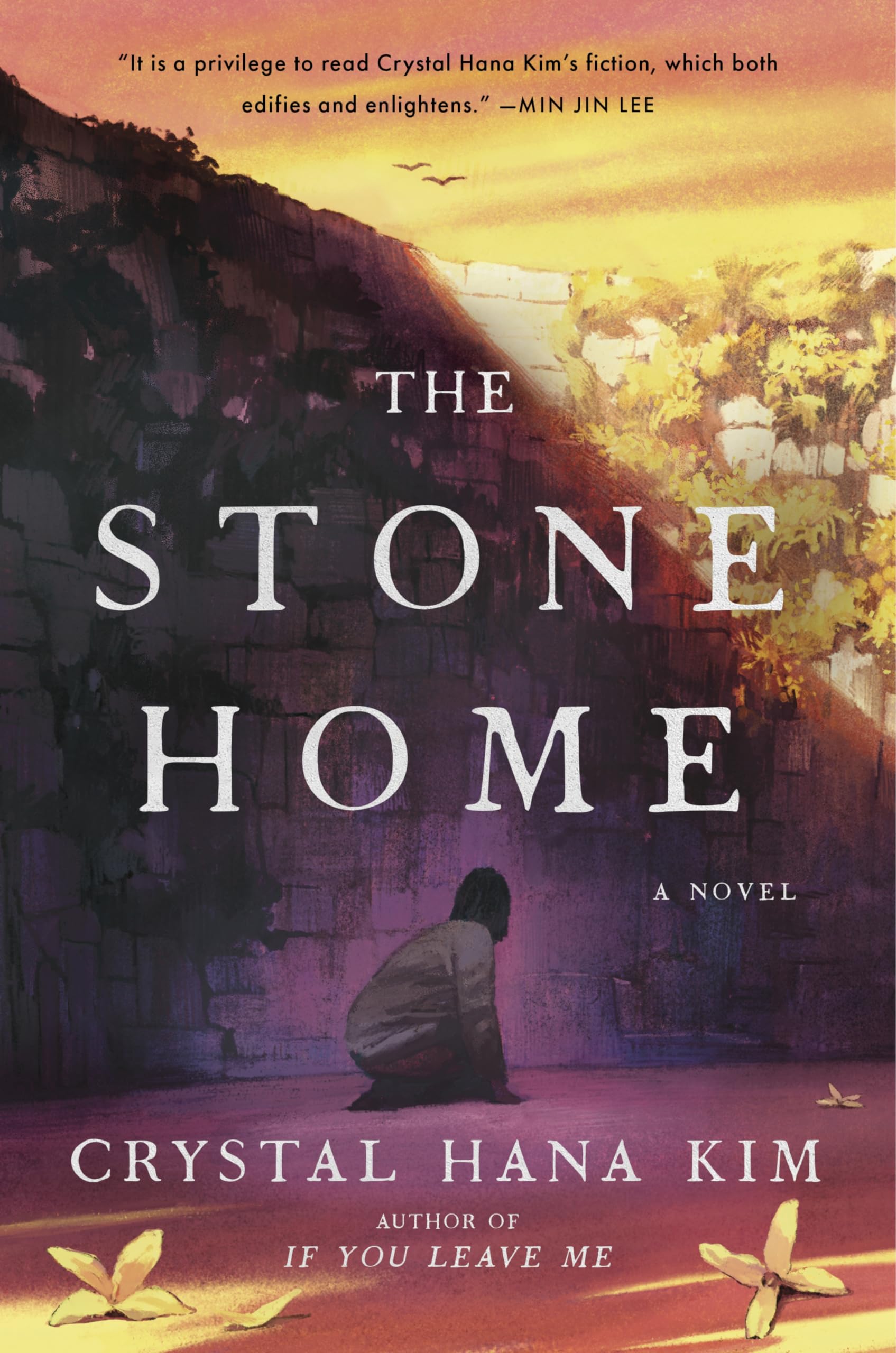 The Stone Home: A Novel used book depot