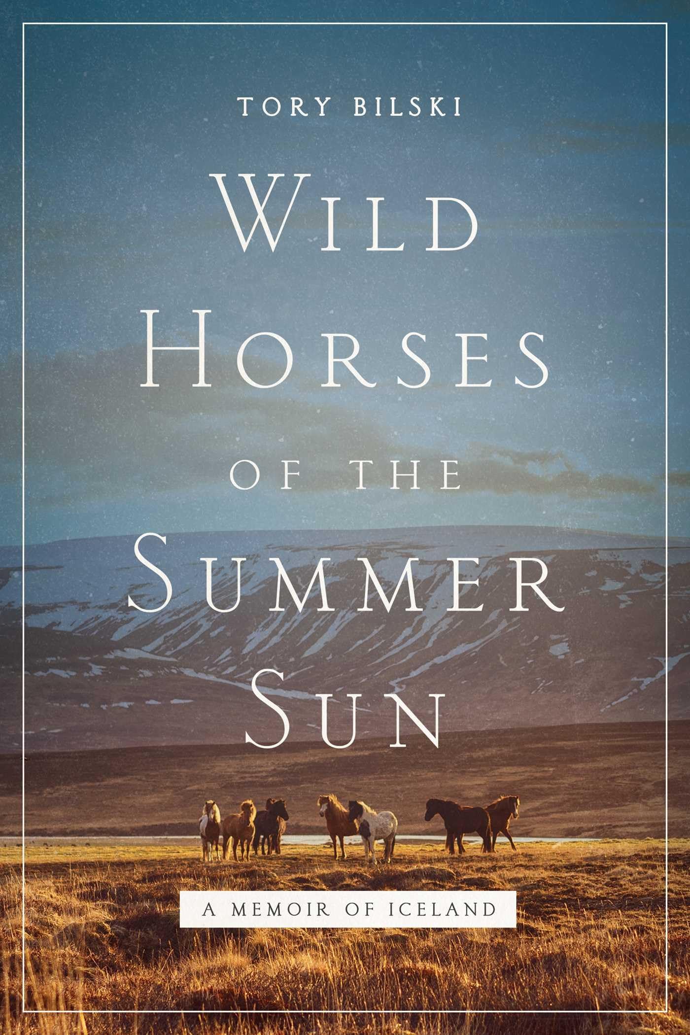Wild Horses of the Summer Sun: A Memoir of Iceland used book depot