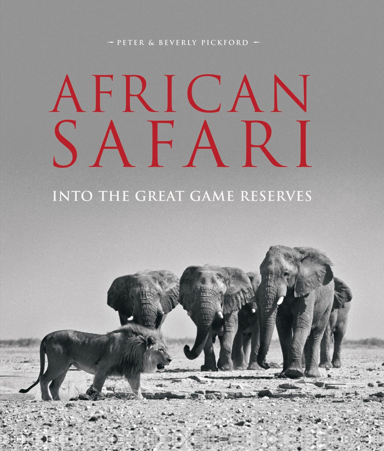African Safari: Into the Great Game Reserves used book depot