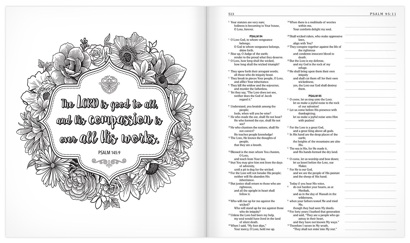 The MEV Promises of God Creative Journaling Bible: Modern English Version used book depot